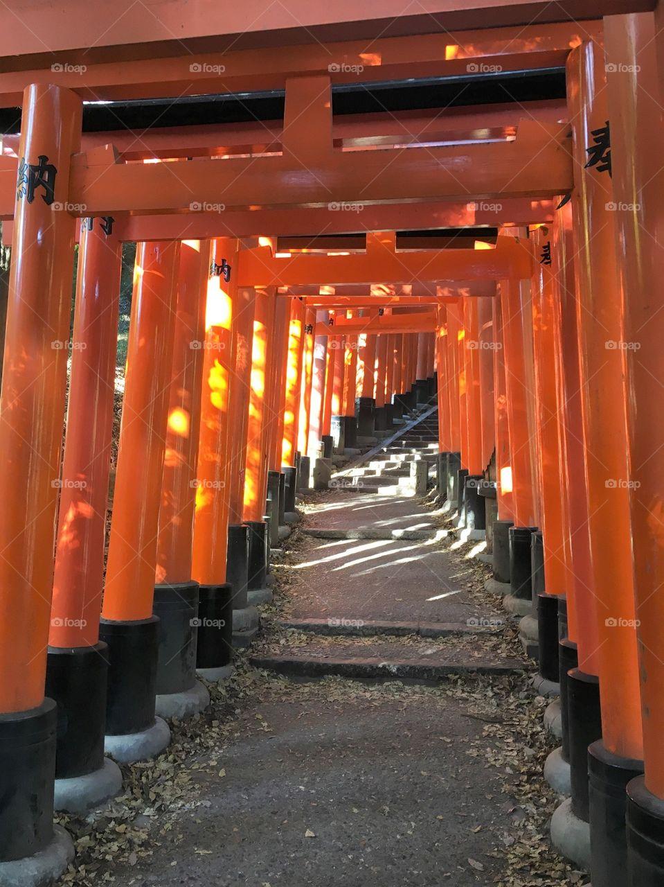 Foap: Fushimi Inari Shrine, Kyoto stock photo by theo dore