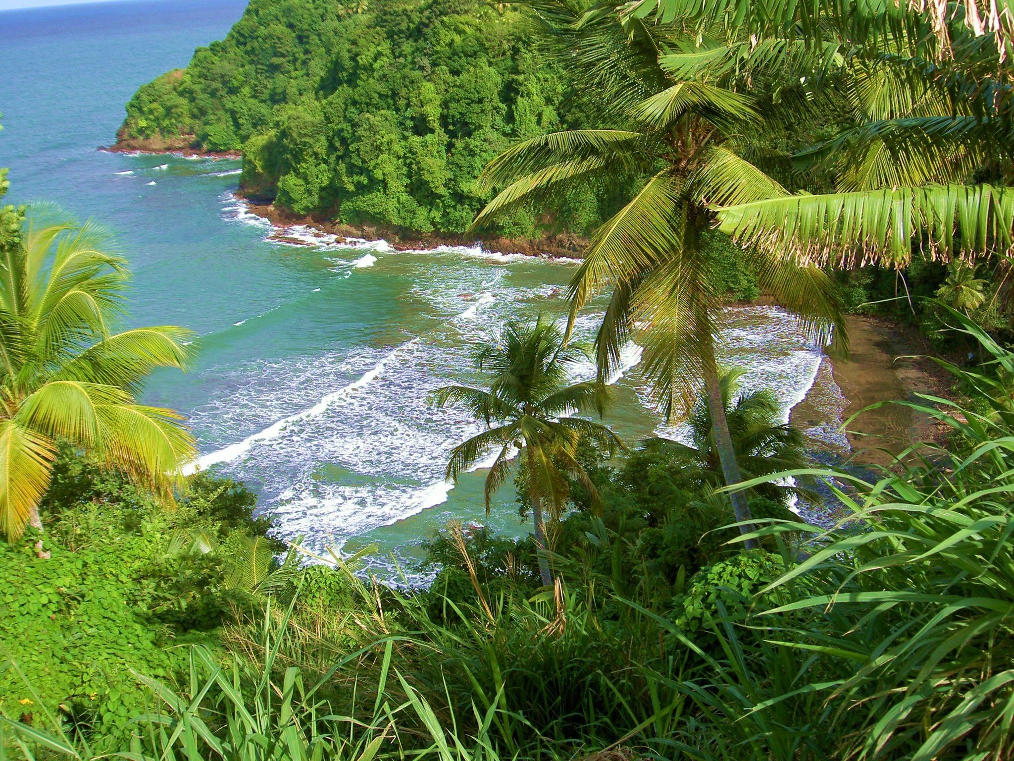 Beach: Paradise Dominica Beautiful Palms Ocean Side Beach East