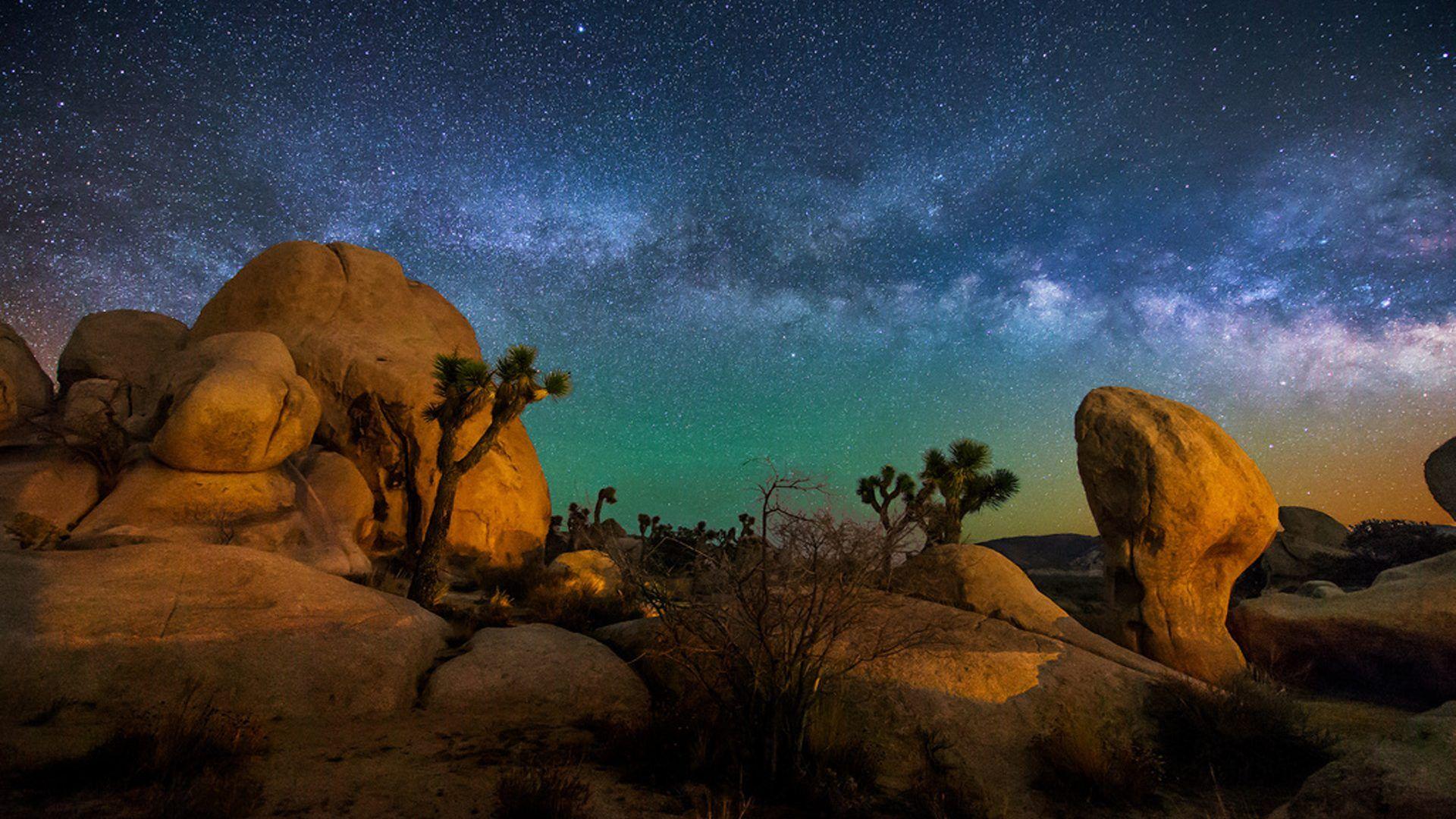 Starry Sky Joshua Tree National Park Usa Hd Wallpapers For Desktop