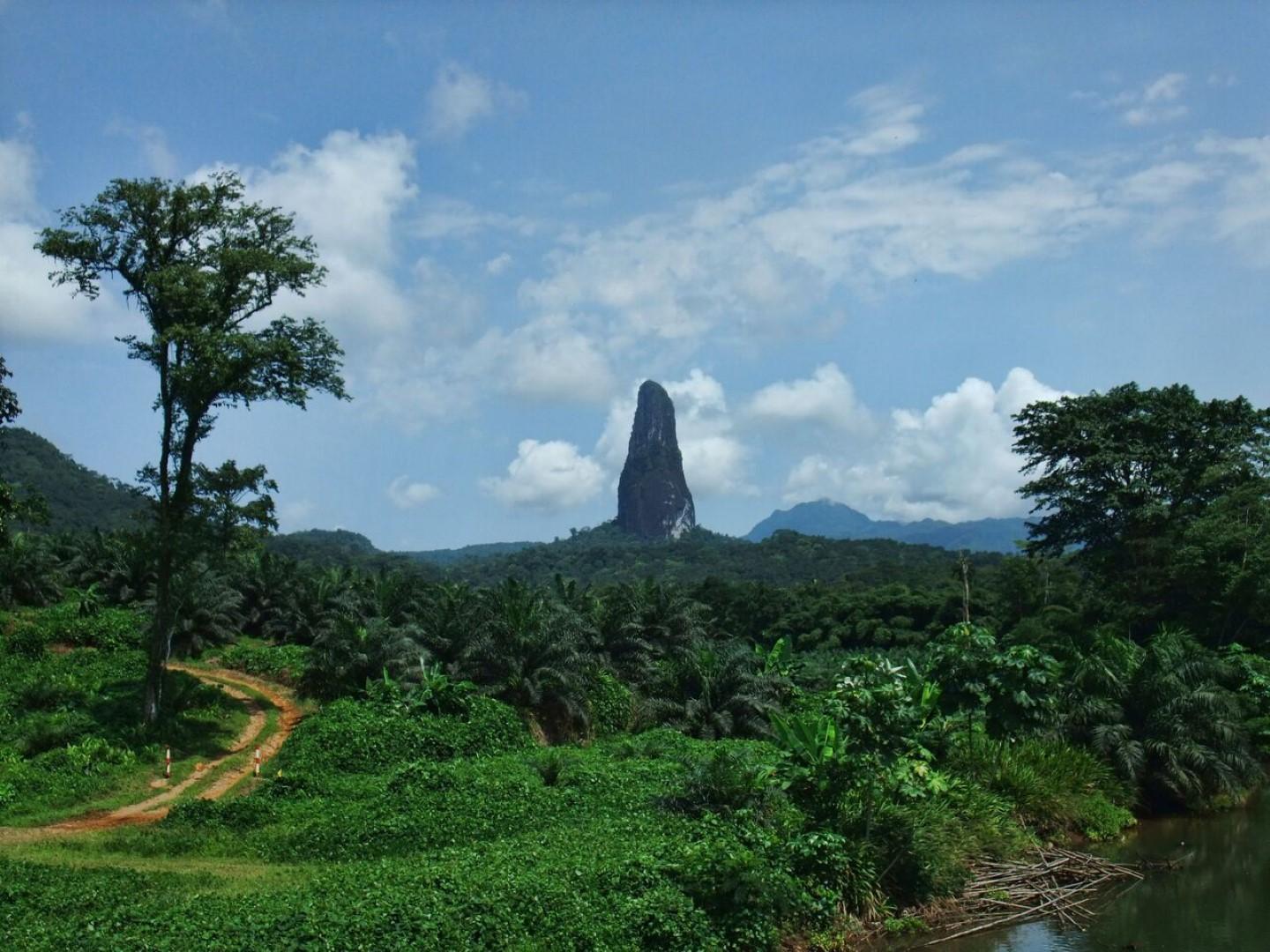 São Tomé fly