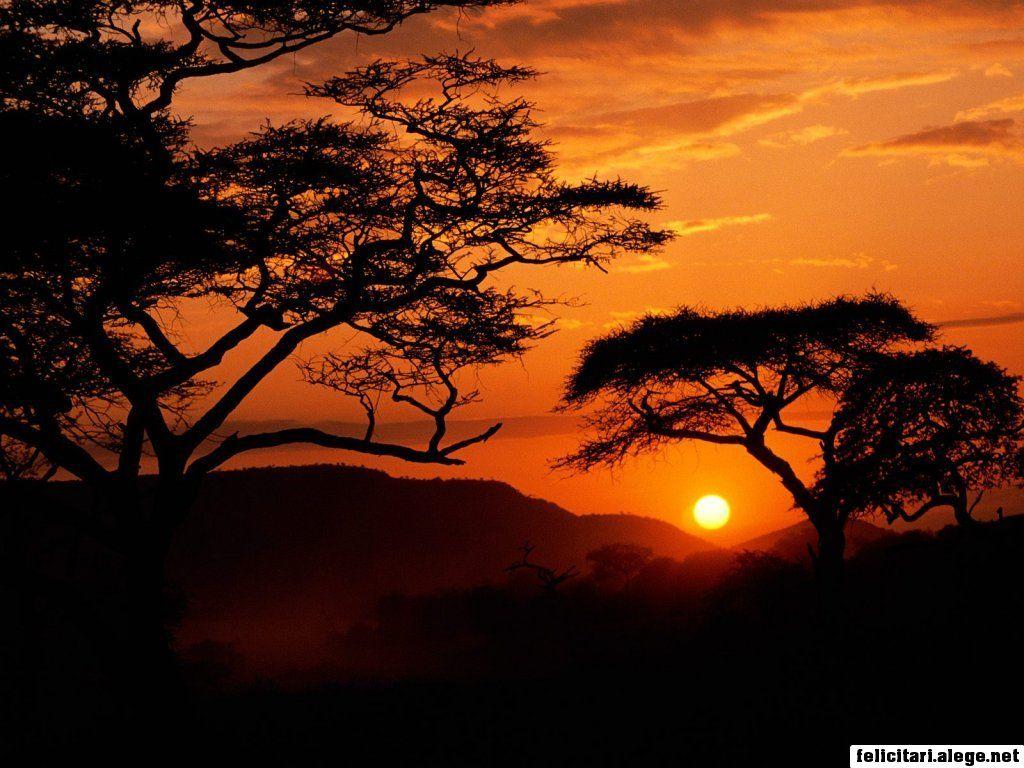 free wallpapers Serengeti National Park Sunset Tanzania 1024 x 768