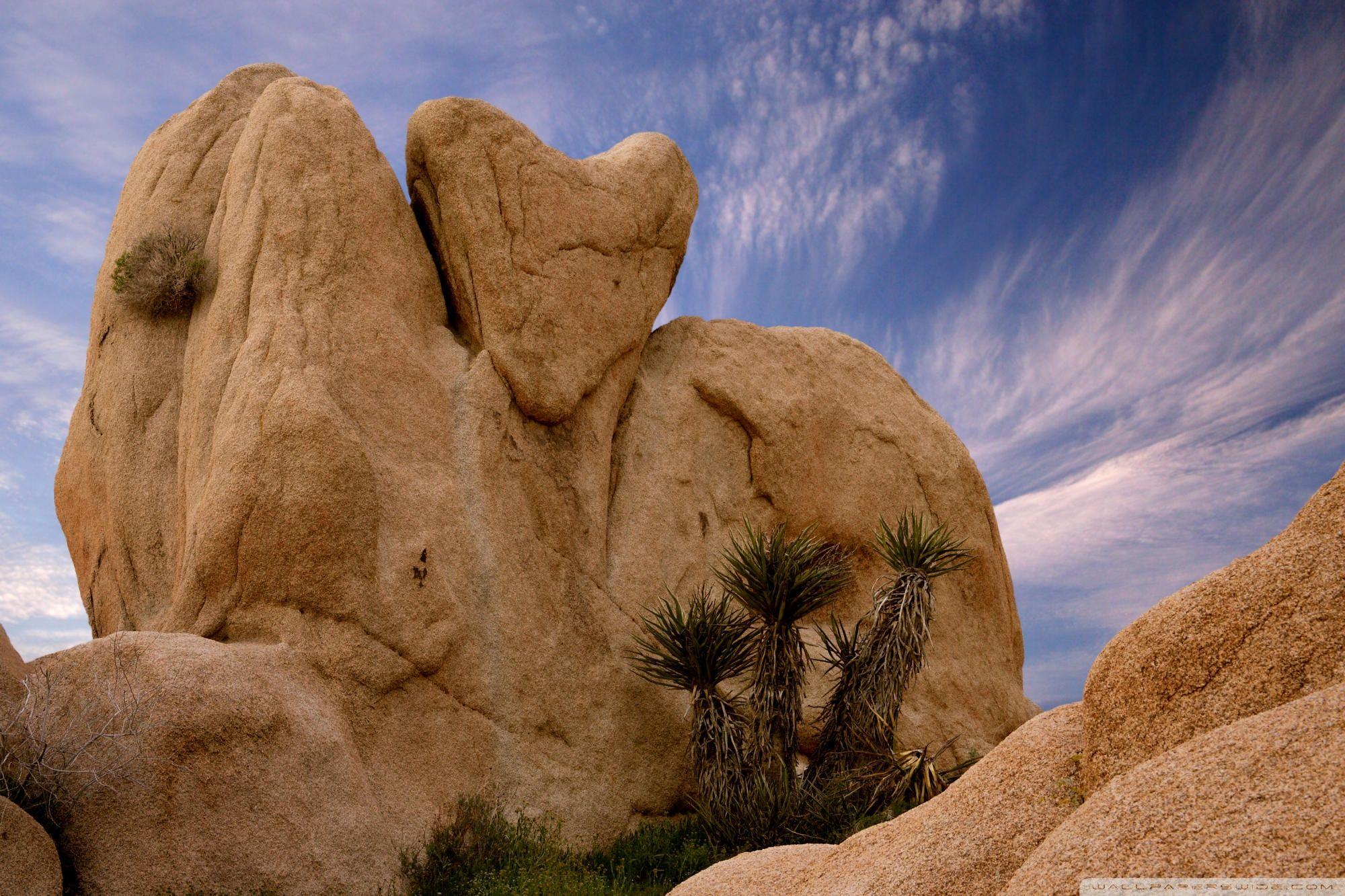 Joshua Tree National Park Ca HD desktop wallpapers : Widescreen