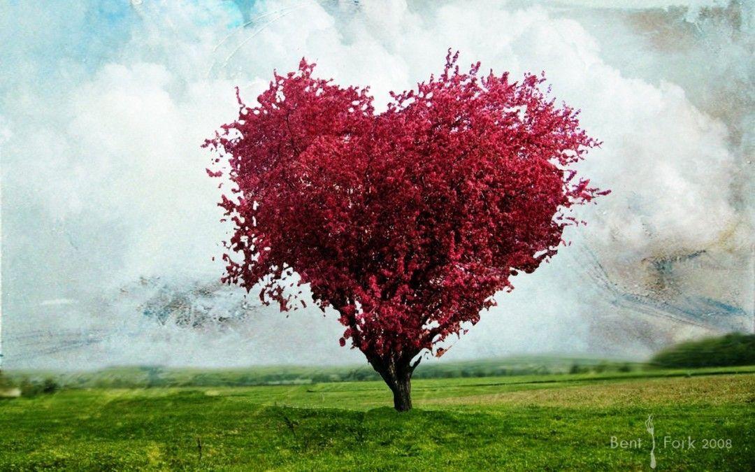 Love Wallpapers HD