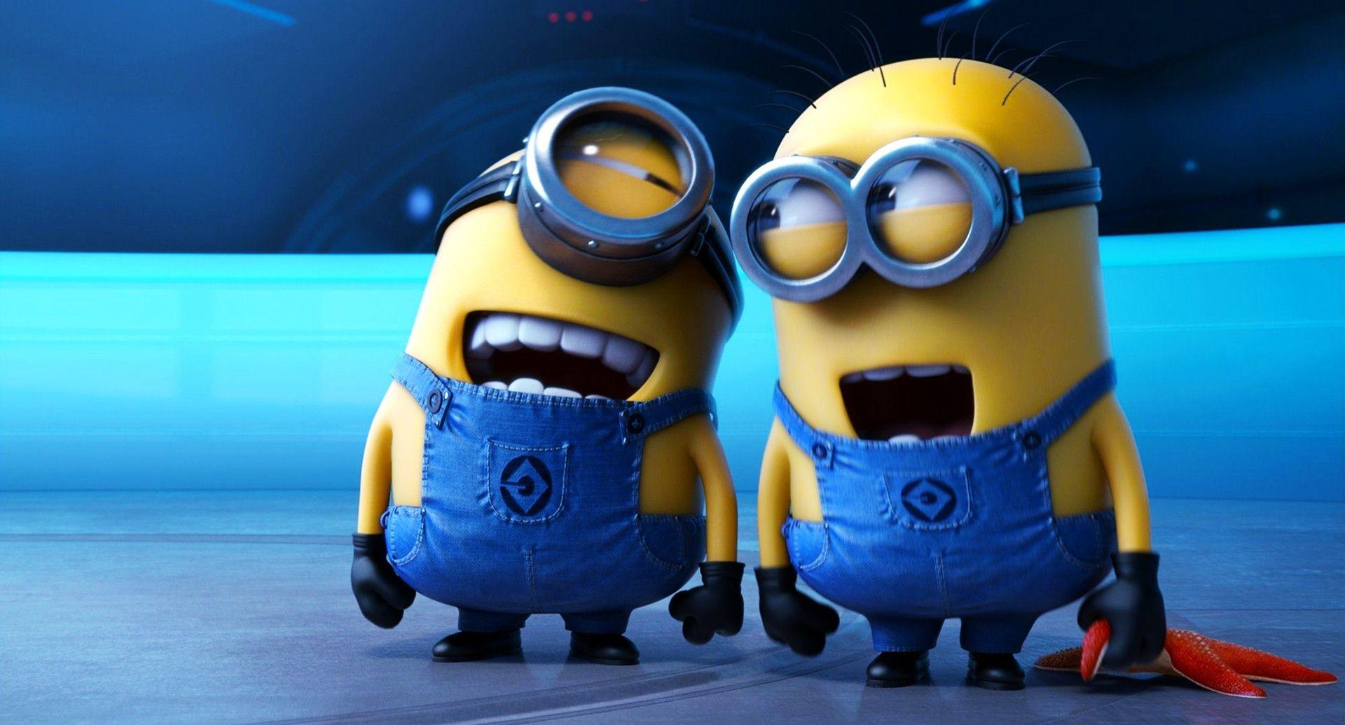 Download Hd Wallpapers Funny Minion Desktop 1280 X 1000 736 Kb