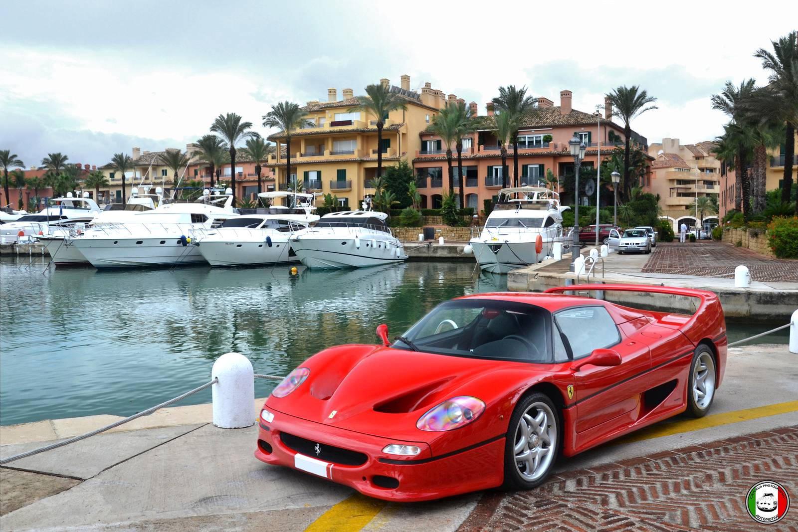 Ferrari F50 Wallpapers Download Car Pictures Website