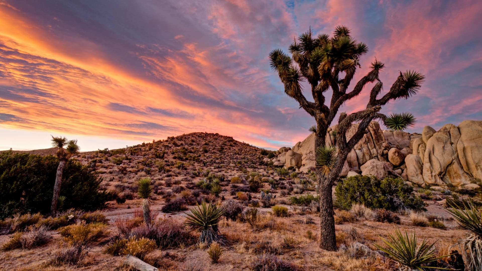 Landscape Wallpapers Hd Joshua Tree National Park In California