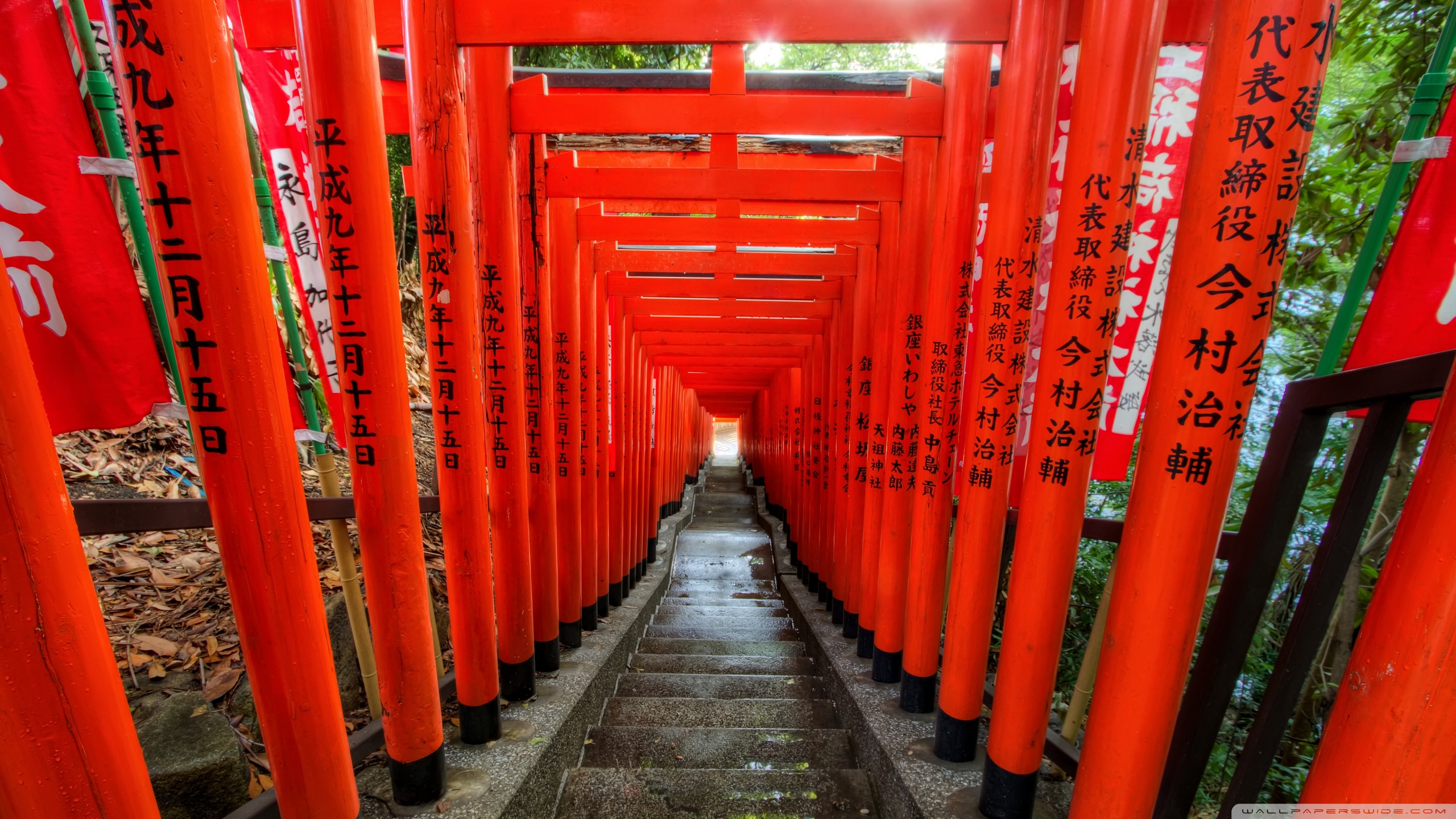 Light at the End of the Torii ❤ 4K HD Desktop Wallpapers for 4K