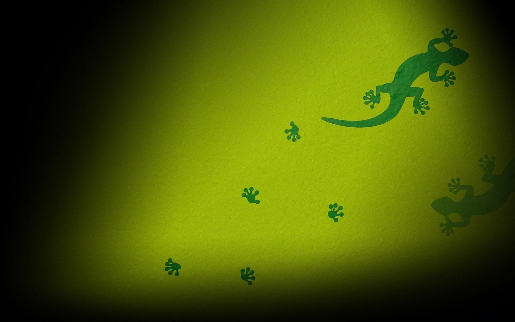 File: Gecko Wallpapers