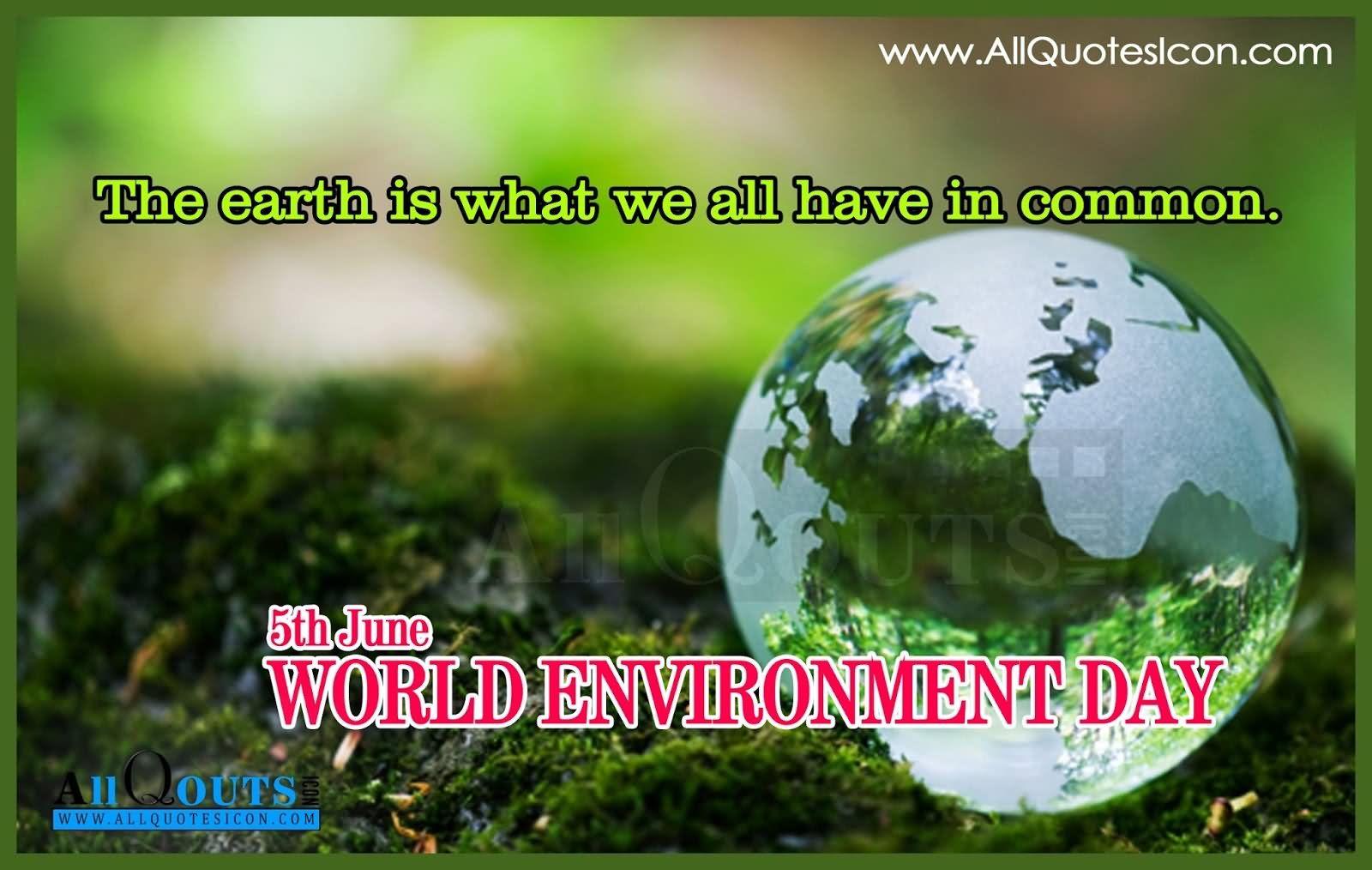 40 Most Wonderful World Environment Day