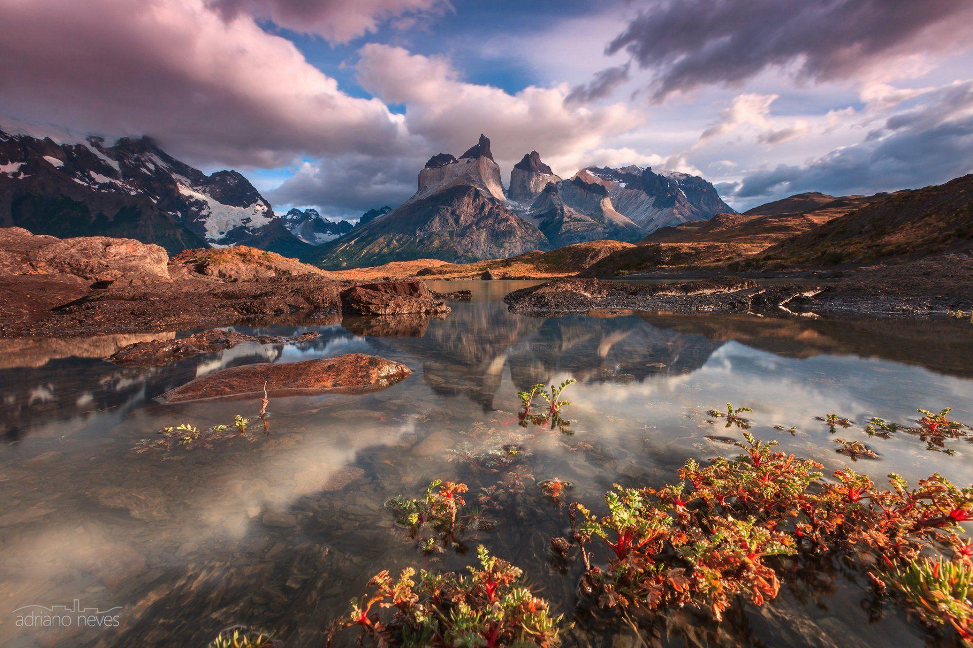 south america chile patagonia national park torres del paine