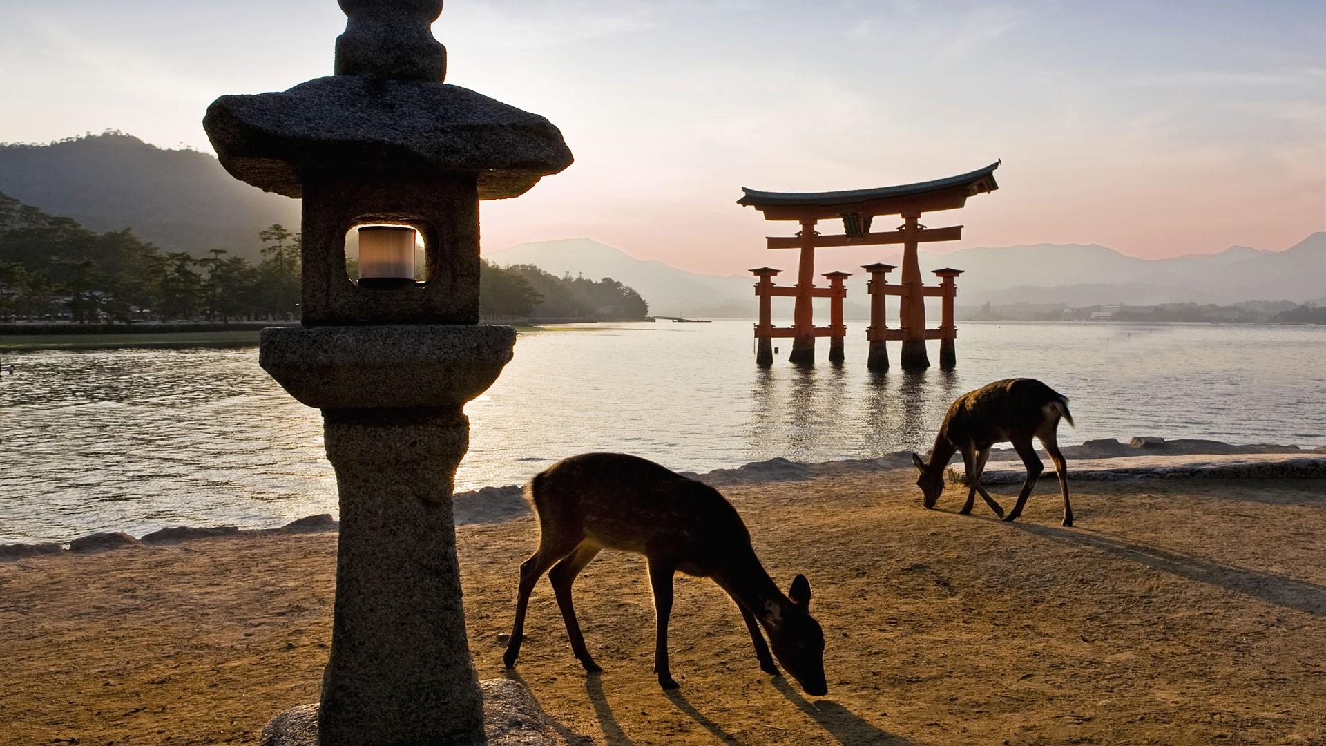 Torii Gate Shrine, Japan