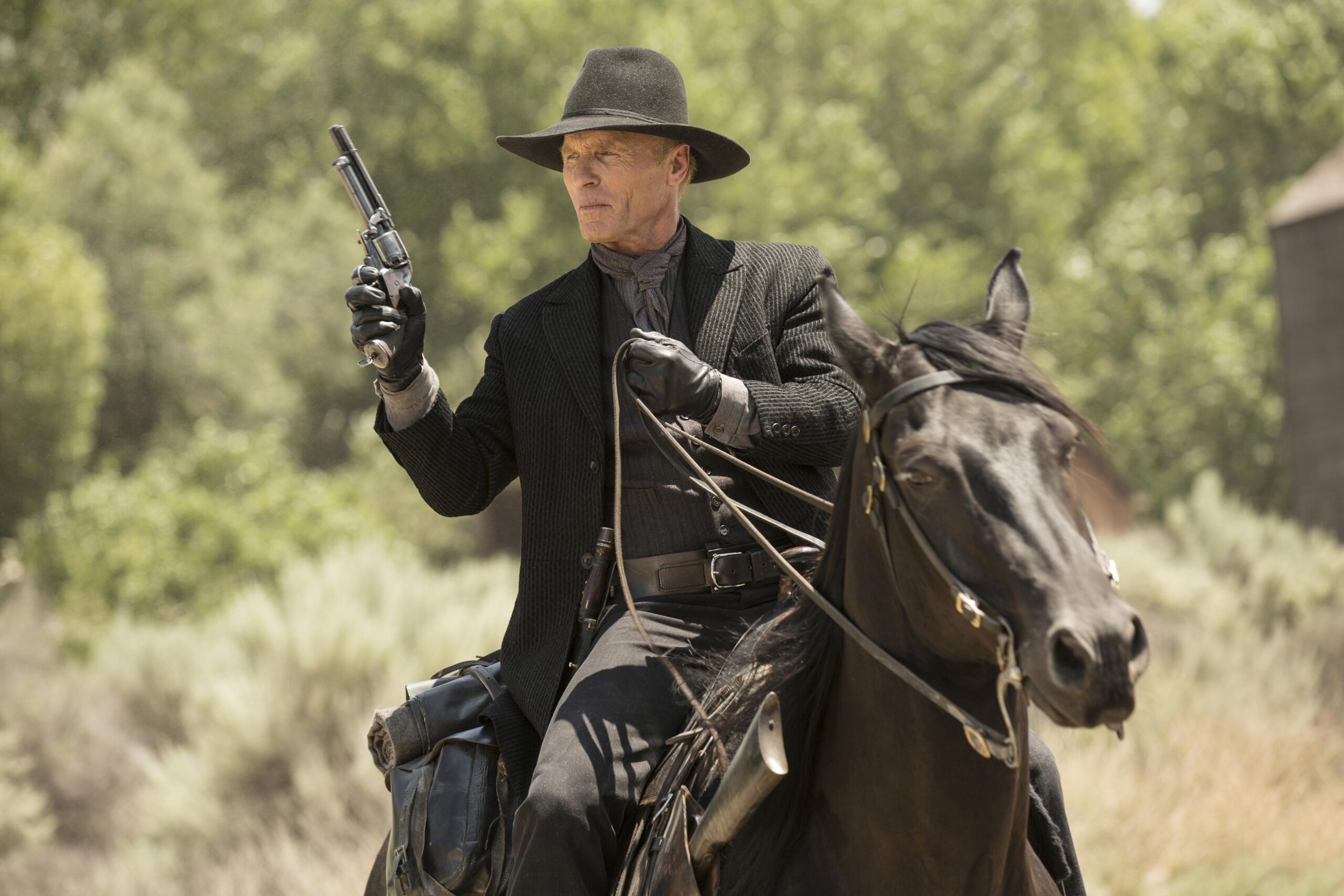 Ed Harris Westworld wallpapers 2018 in Westworld