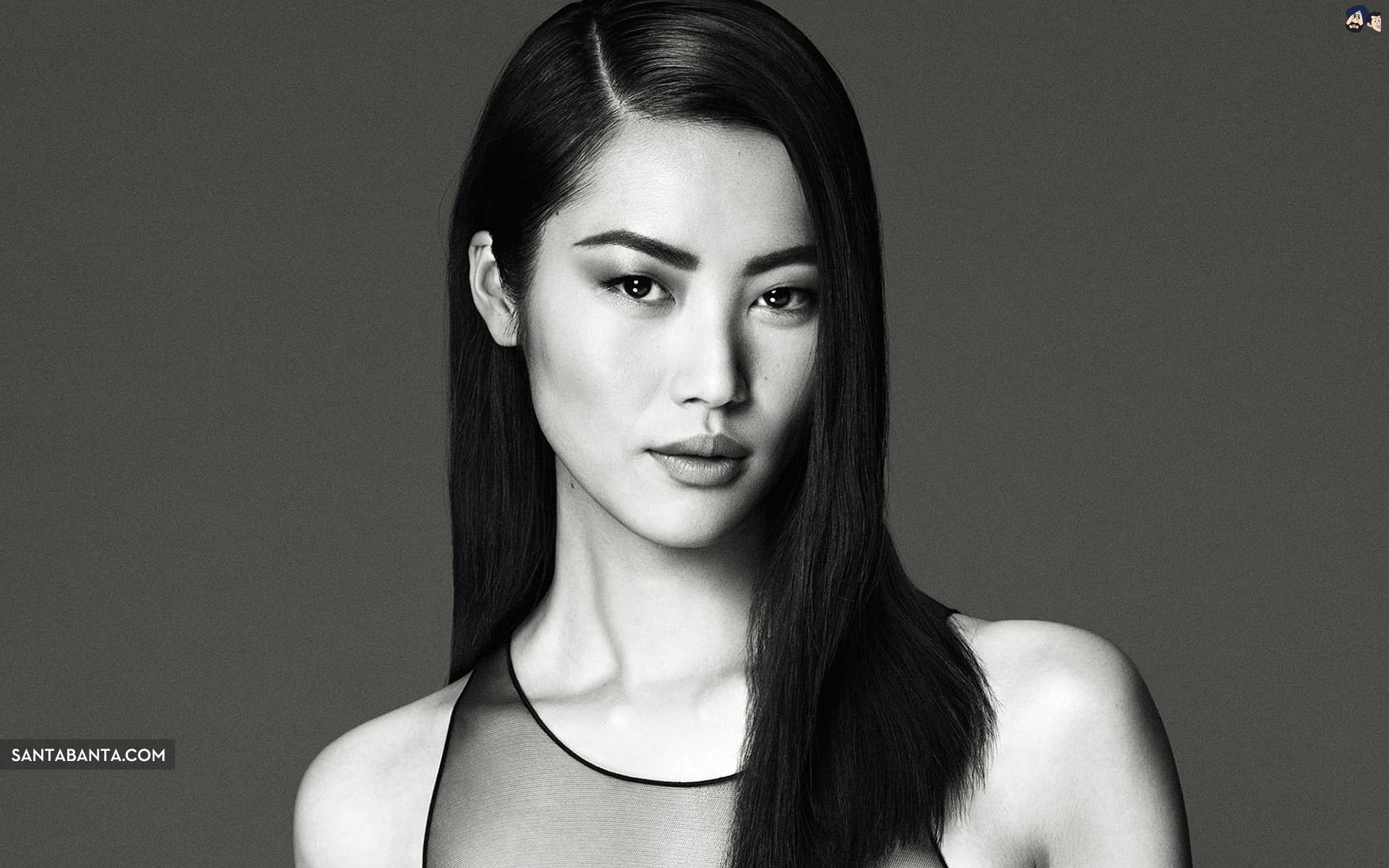 Chinese Liu Wen