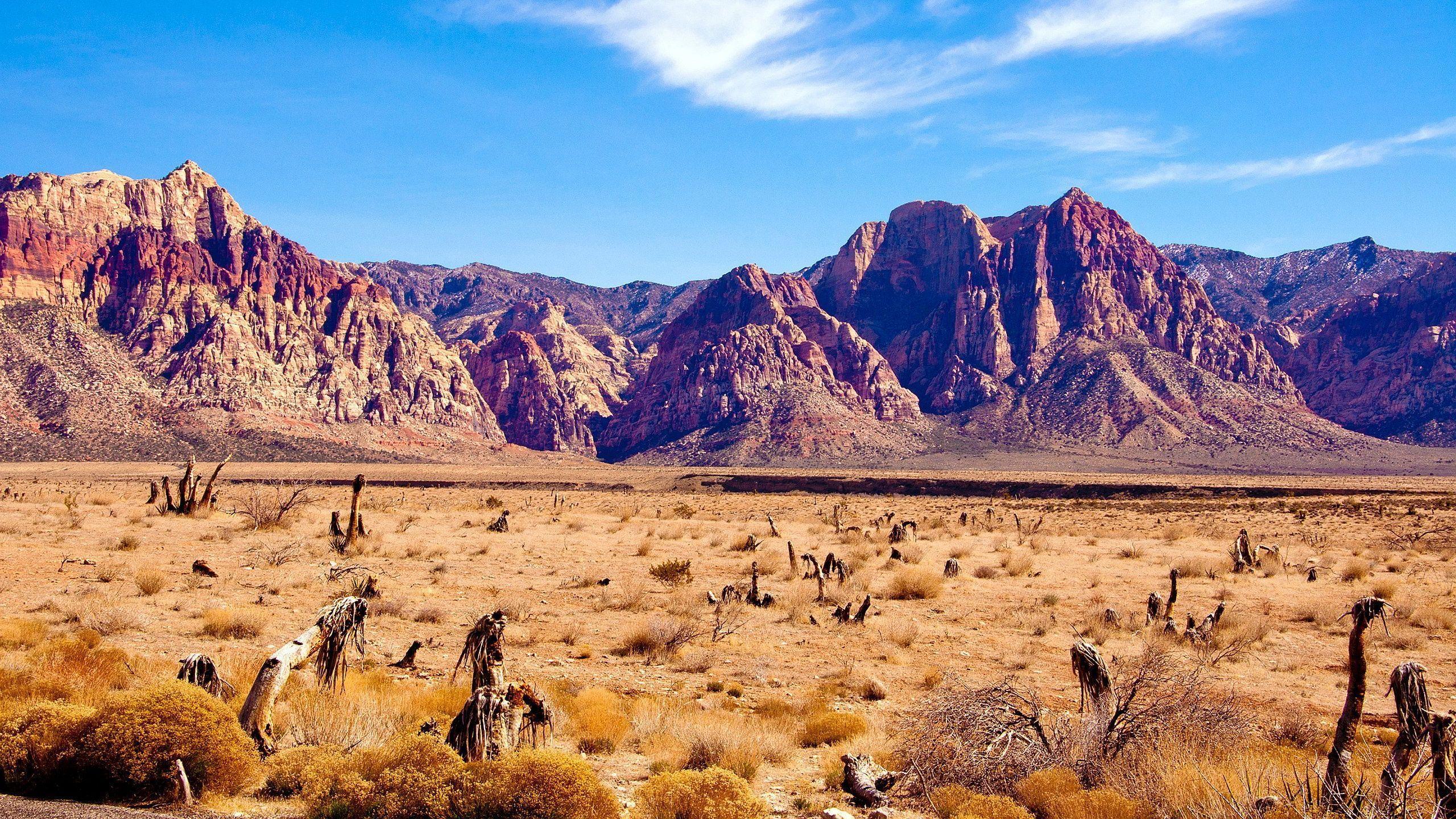 Nevada desert Wallpapers