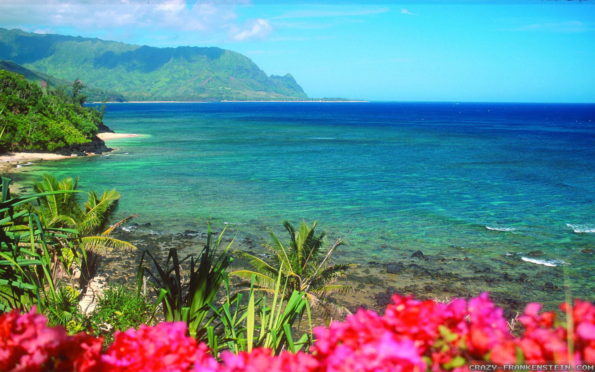 Hawaii Desktop Wallpapers ·①