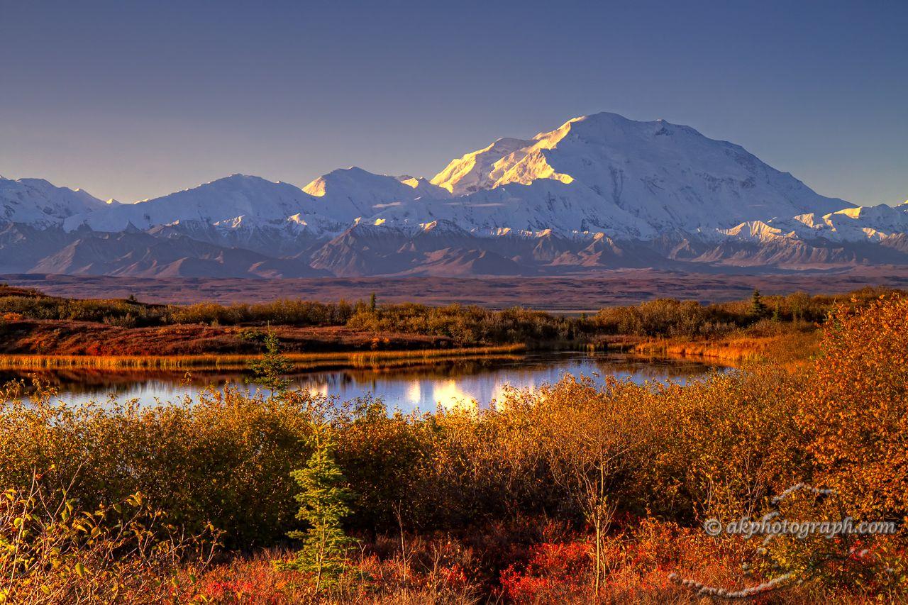 Denali National Park