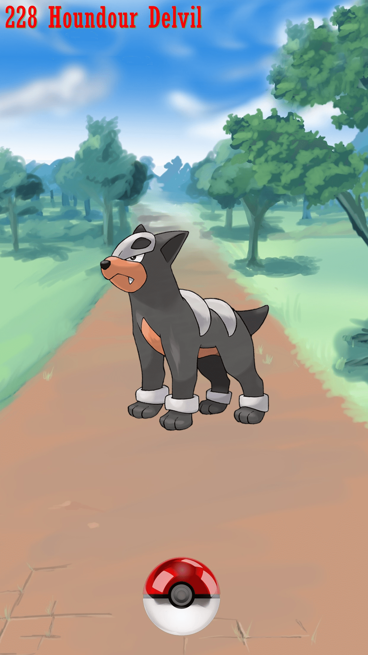 228 Street Pokeball Houndour Delvil