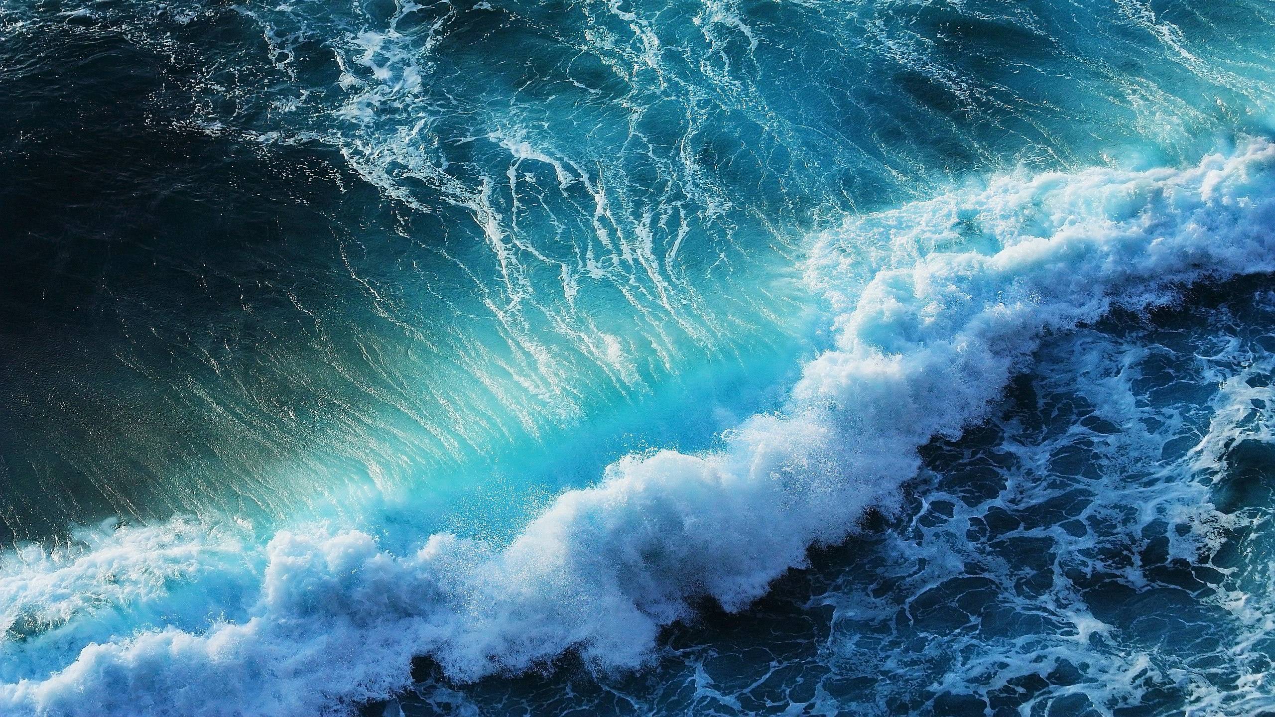 58 Wallpapers and Backgrounds