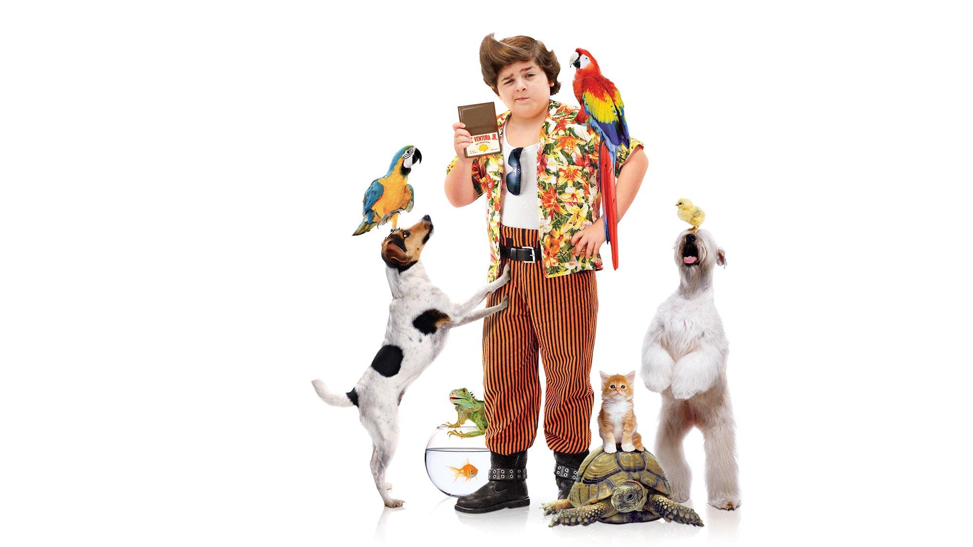 ace ventura pet detective hd backgrounds