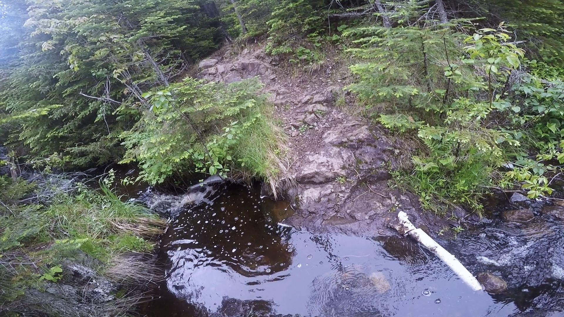 Isle Royale National Park June 2015 – Day 3 – Moskey Basin to