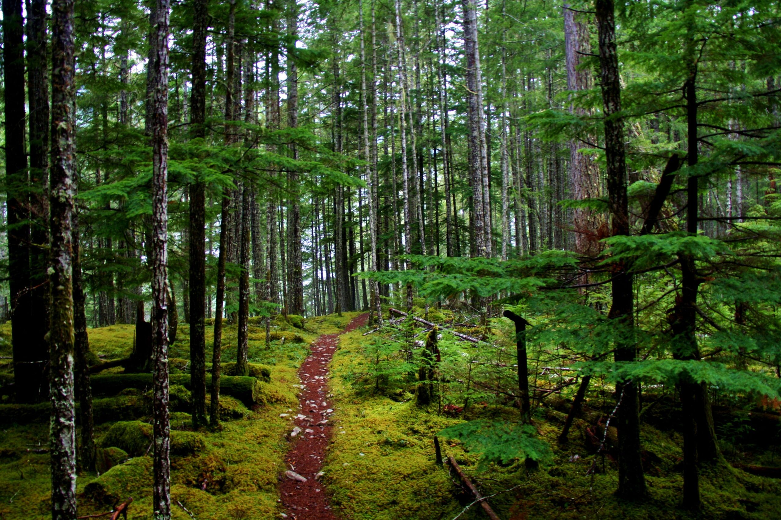 px Olympic National Park