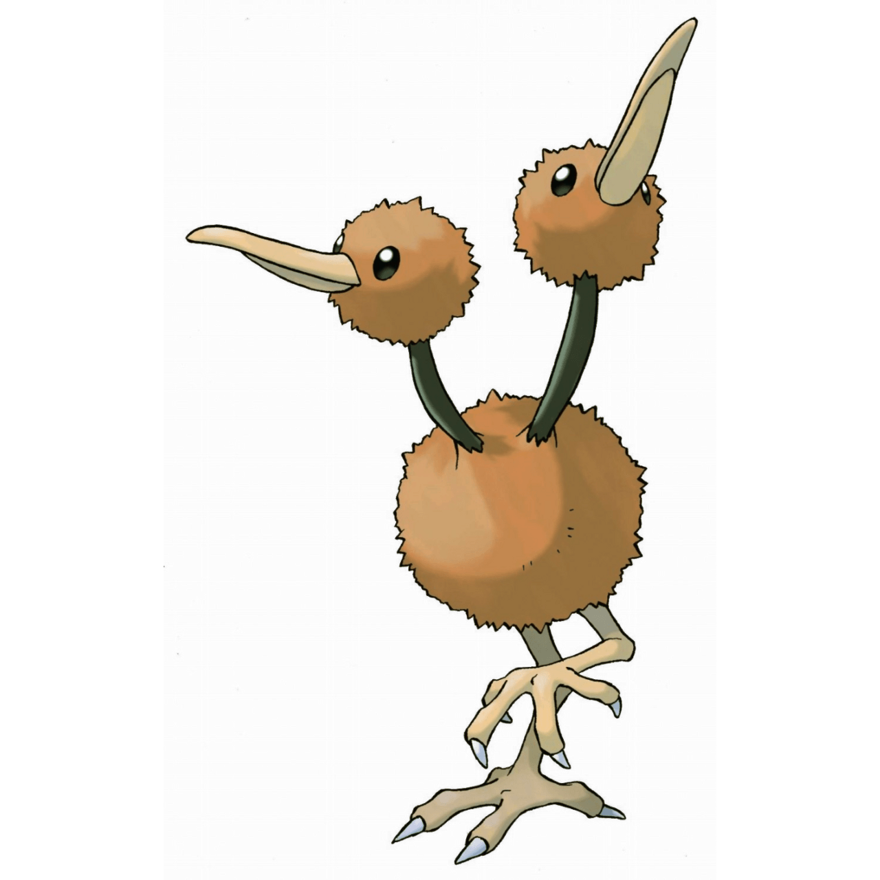 Doduo