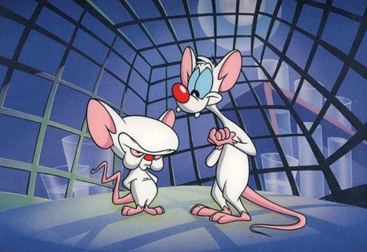 px 251.52 KB Pinky And The Brain