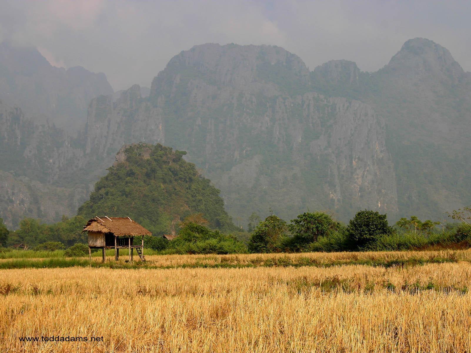 Ricefield Hut, Vang Vieng, Laos Wallpapers