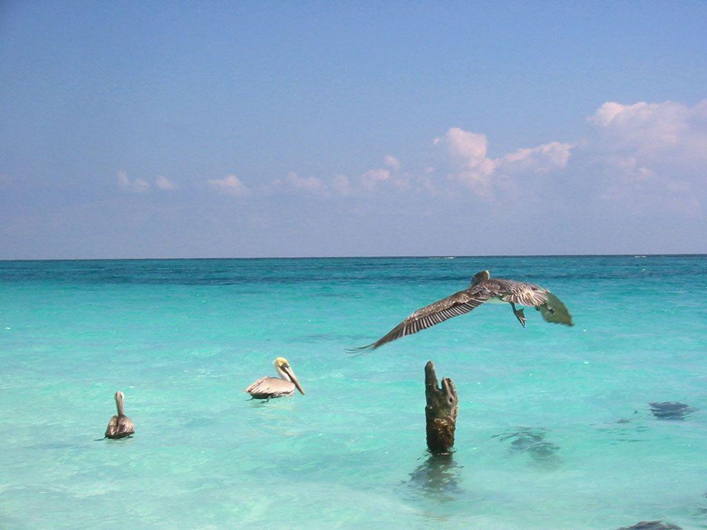 Mexico Wallpapers: San Christobal, Salina Cruz, Chichen Itza