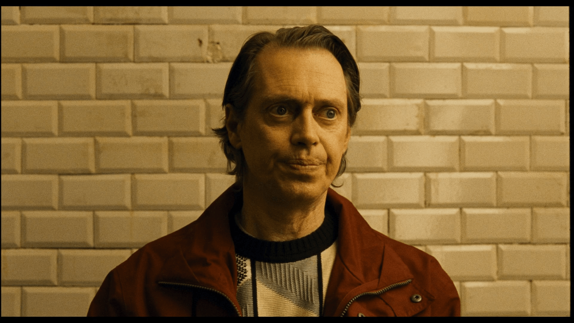 Steve Buscemi Wallpapers 9