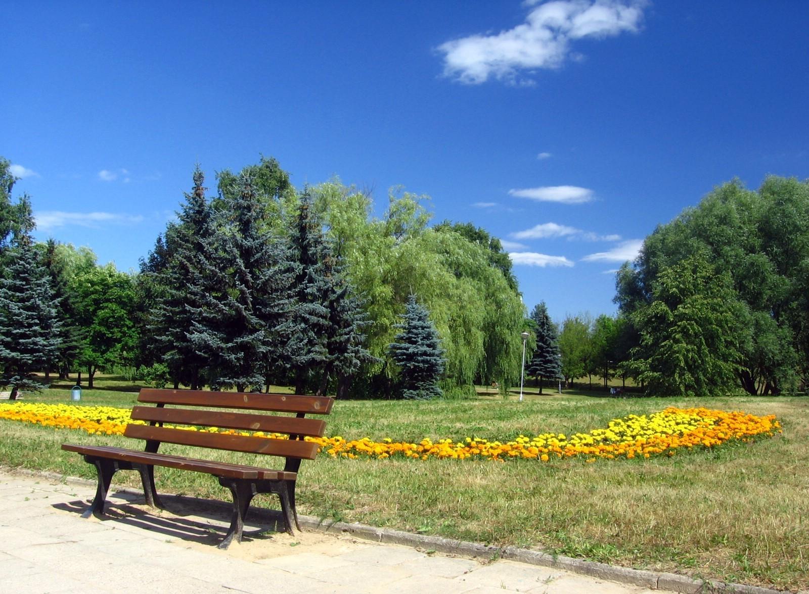 Misc: Romania Bucharest Park Cloud Bank Blue Sky Summer Tree Flower