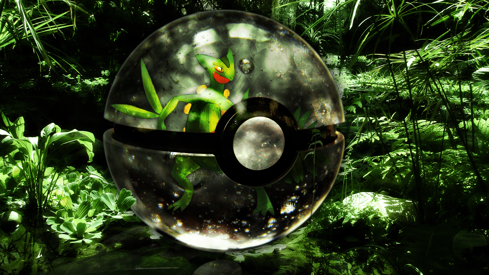 Pokemon balls wallpapers