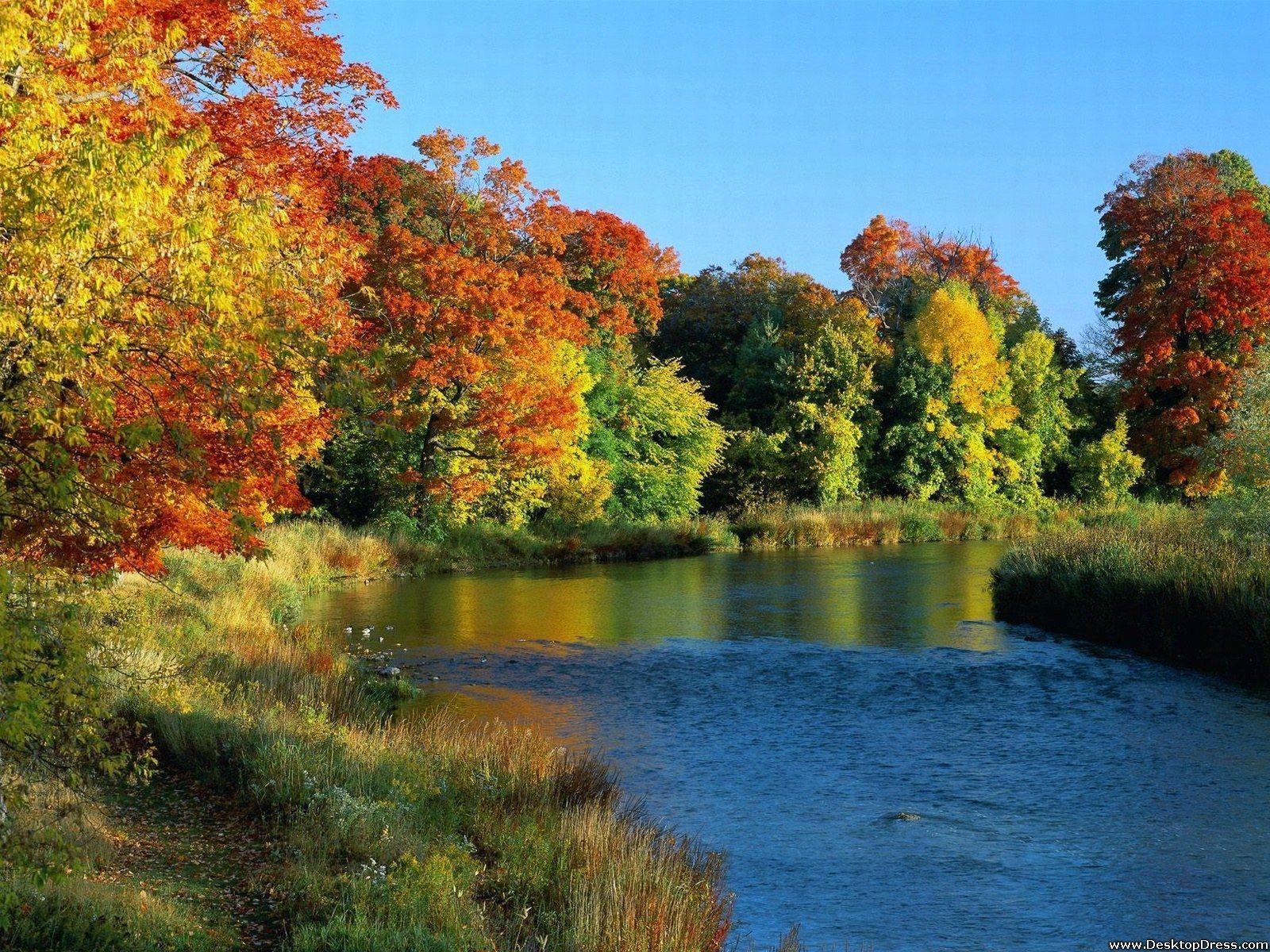 Desktop Wallpapers » Natural Backgrounds » Autumn Reflections