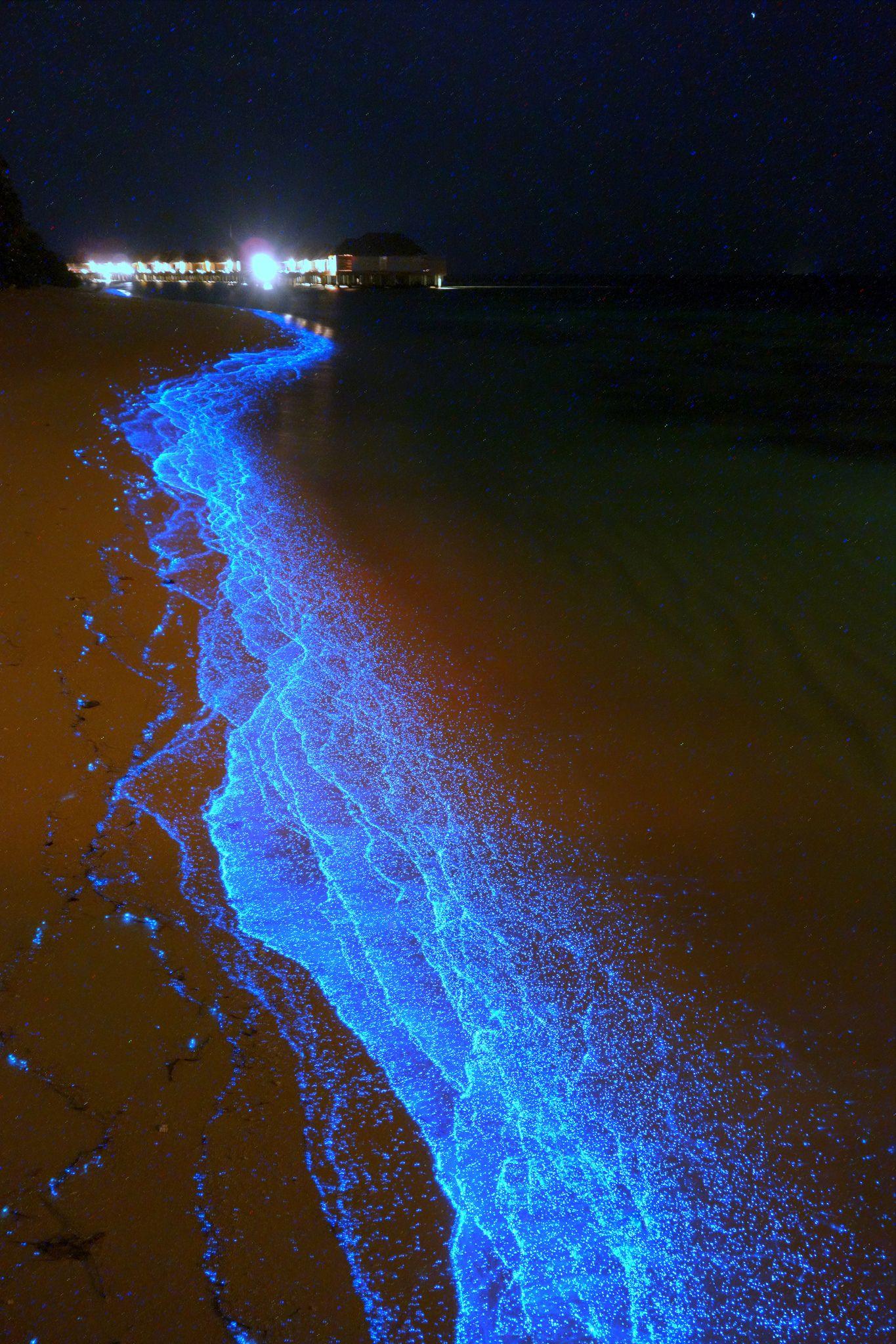 Bioluminescent phytoplankton beach, Dusit Thani, Mudhdhoo Island