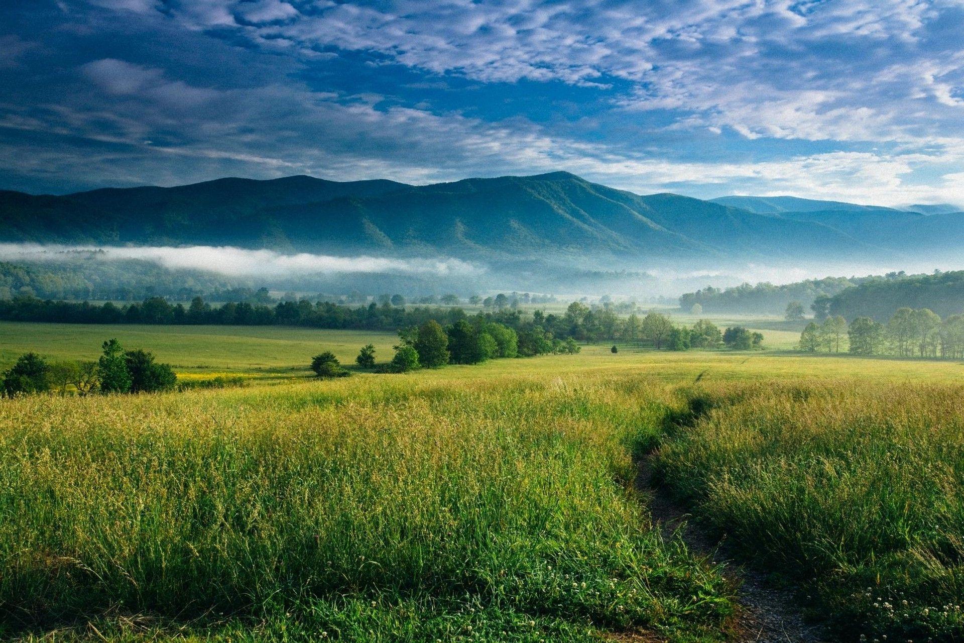 nature, Landscape, Mountain, Sunrise, Mist, Valley, Trees, Clouds