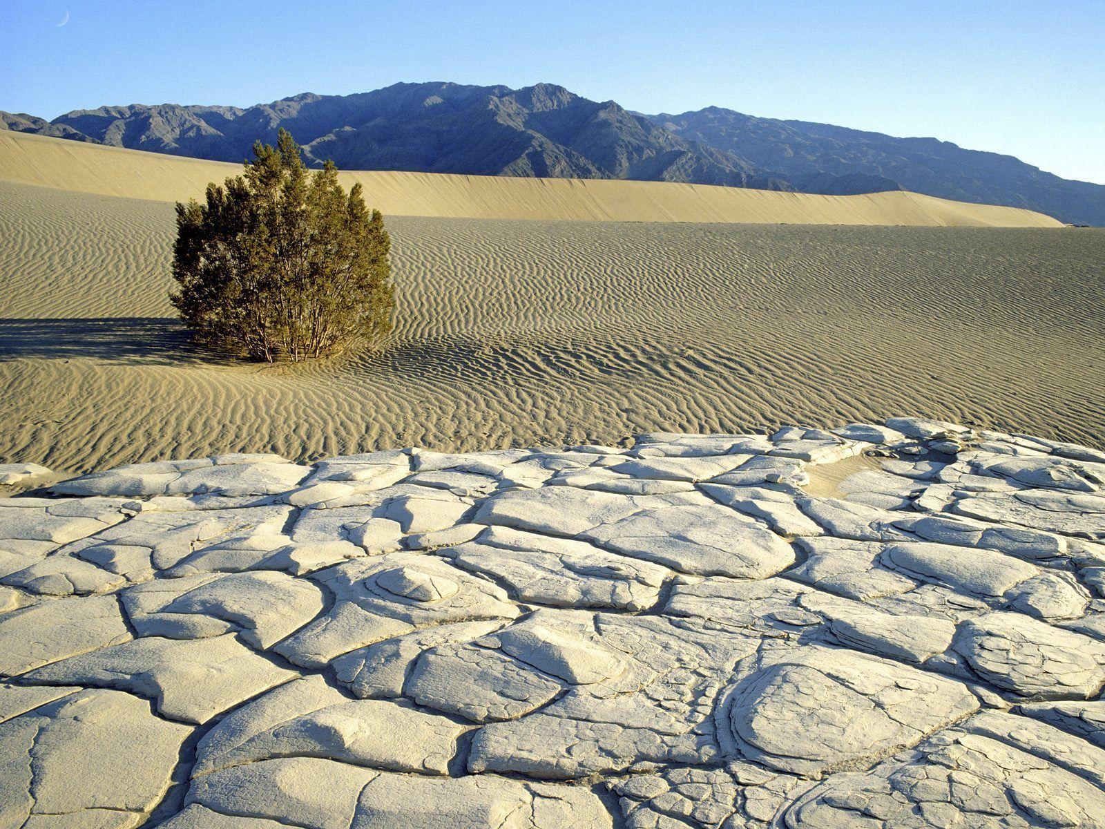 Nature: Death Valley National Park, California, picture nr. 47114