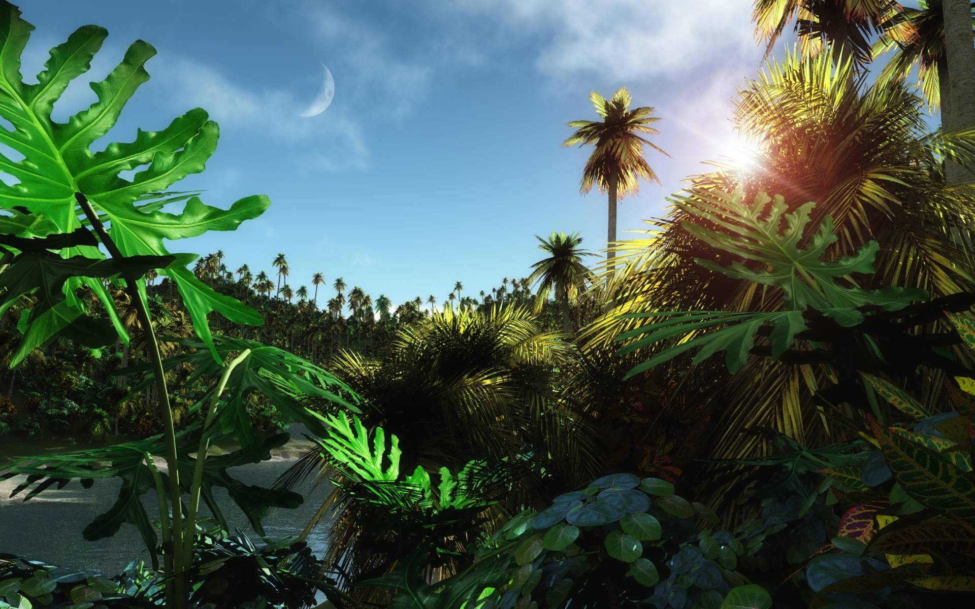 3D Jungle Wallpapers