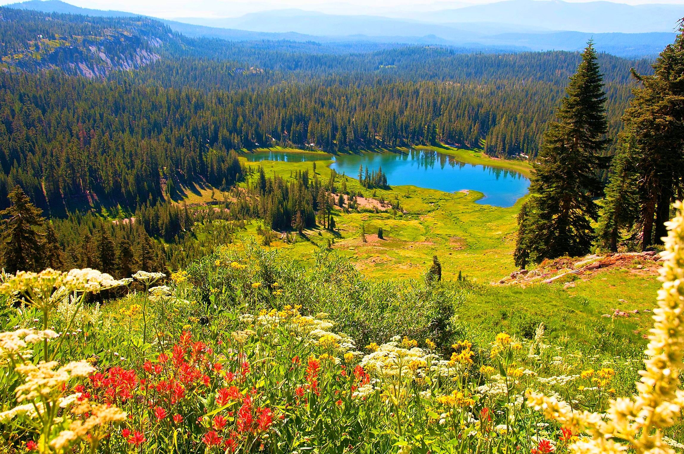 Lakes: Lassen Volcanic National Park Lake Forest Spring