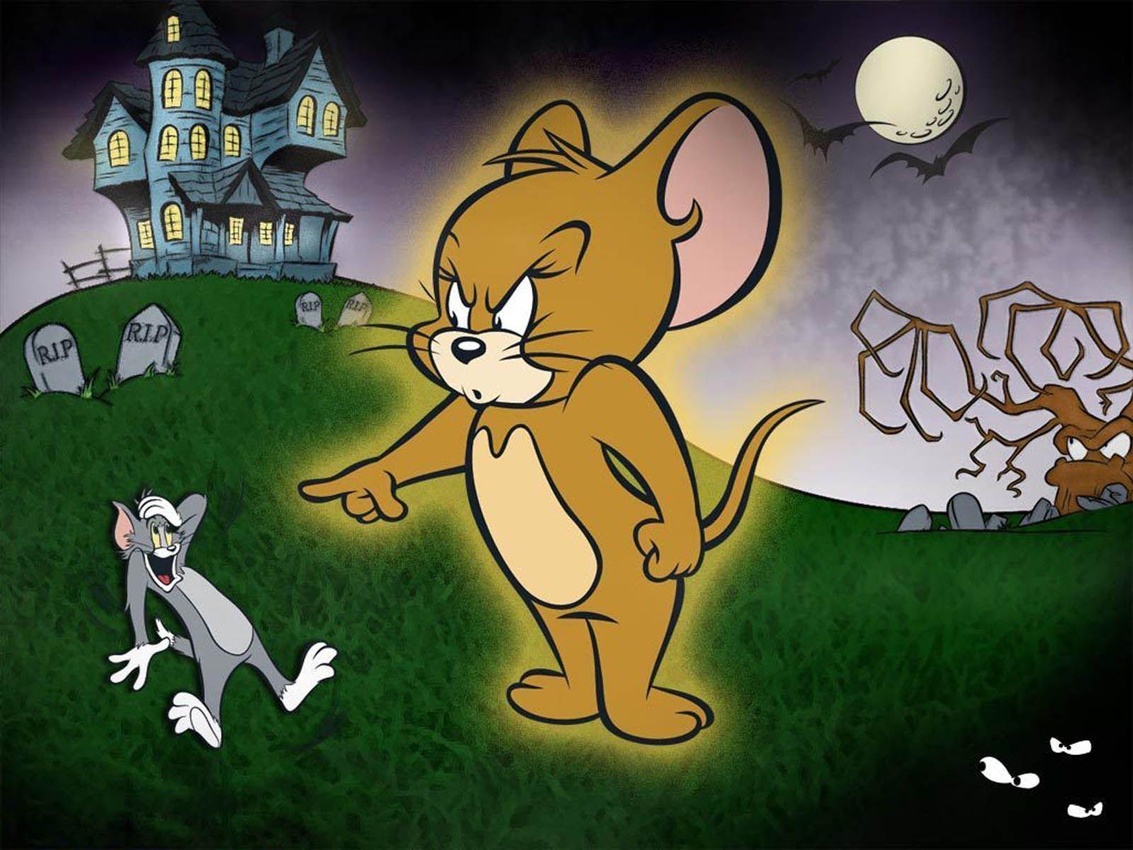 Lovely Wallpapers of Funny Characters Tom & JerryPhotography