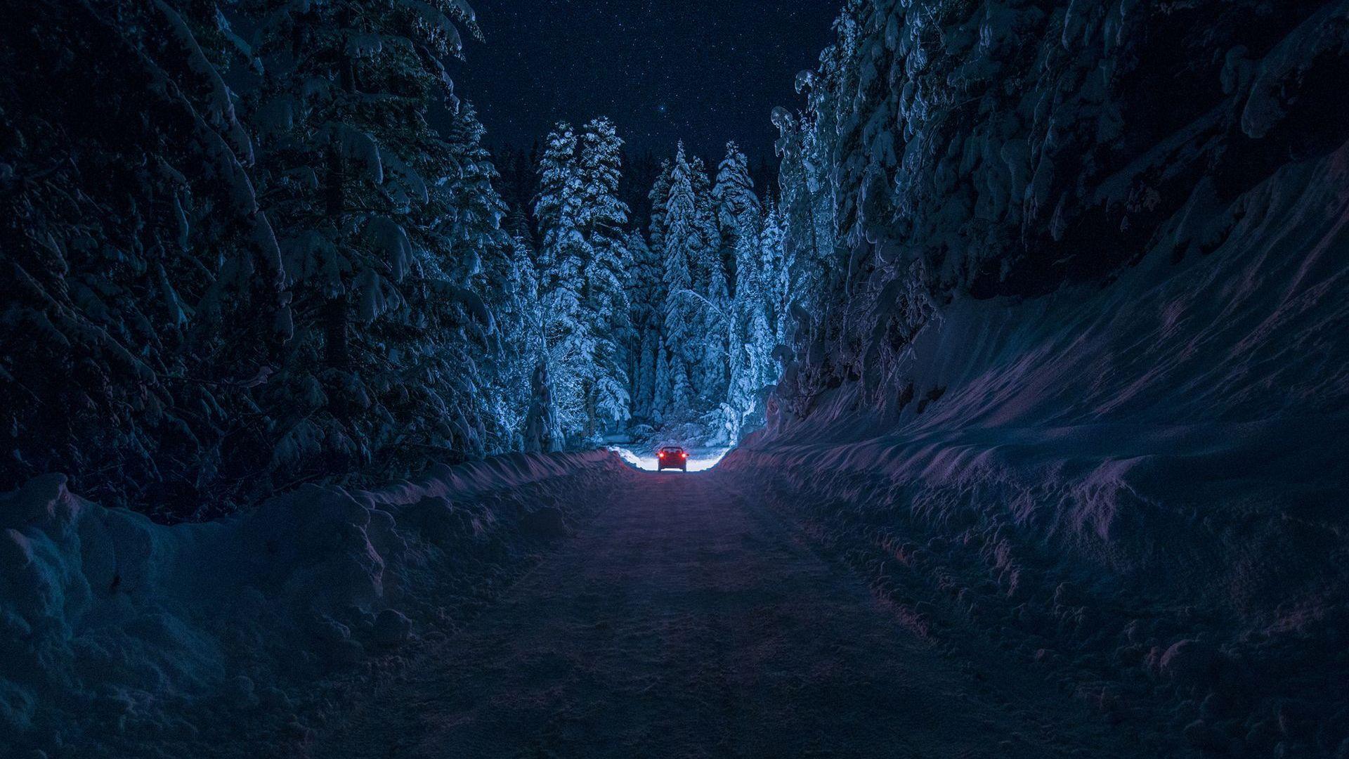 Driving Through The Snowy Forest HD Aesthetic Wallpapers Free