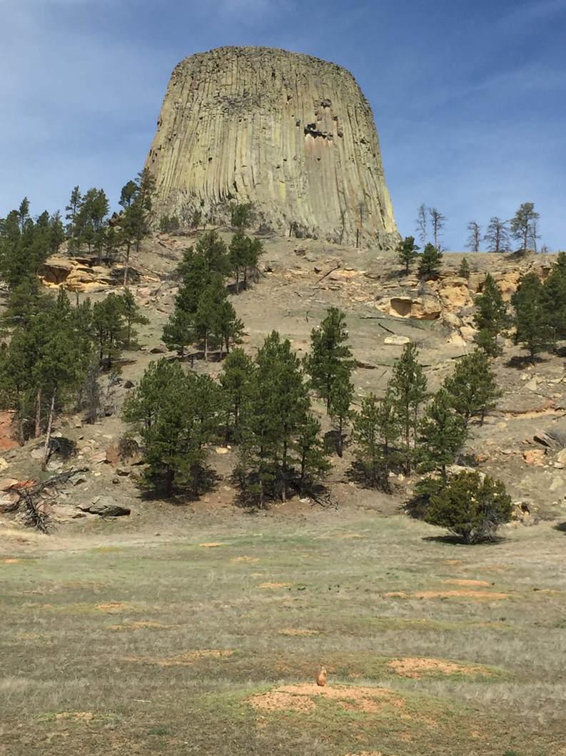 Devils Tower & Black Hills