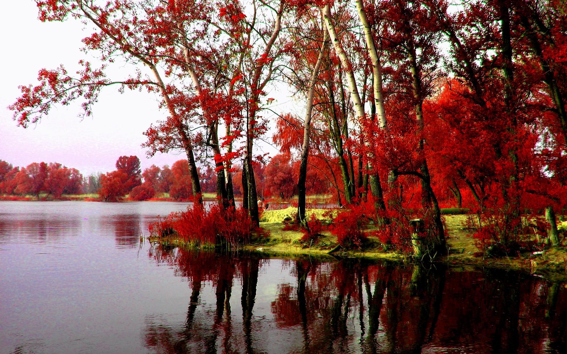 Rivers: RIVER BANK TREES Autumn Riverbank HD Wallpapers for HD 16:9