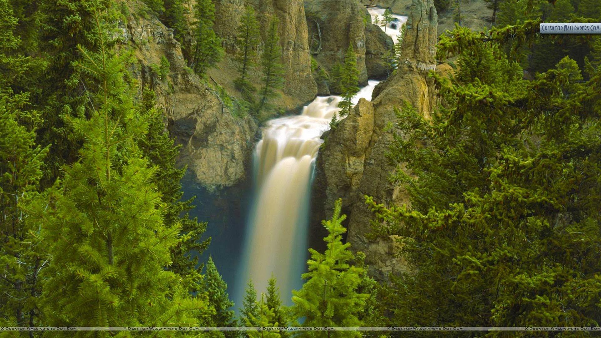 Yellowstone National Park Wallpapers