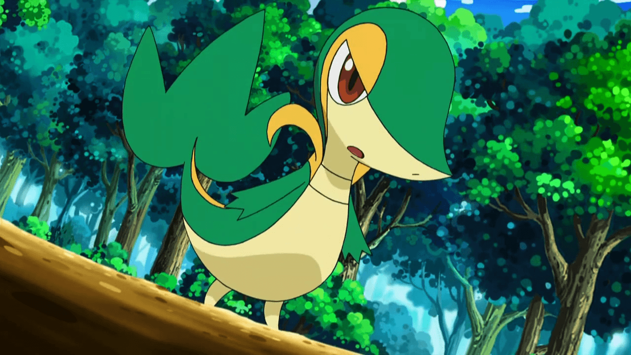 Snivy image Snivy HD wallpapers and backgrounds photos