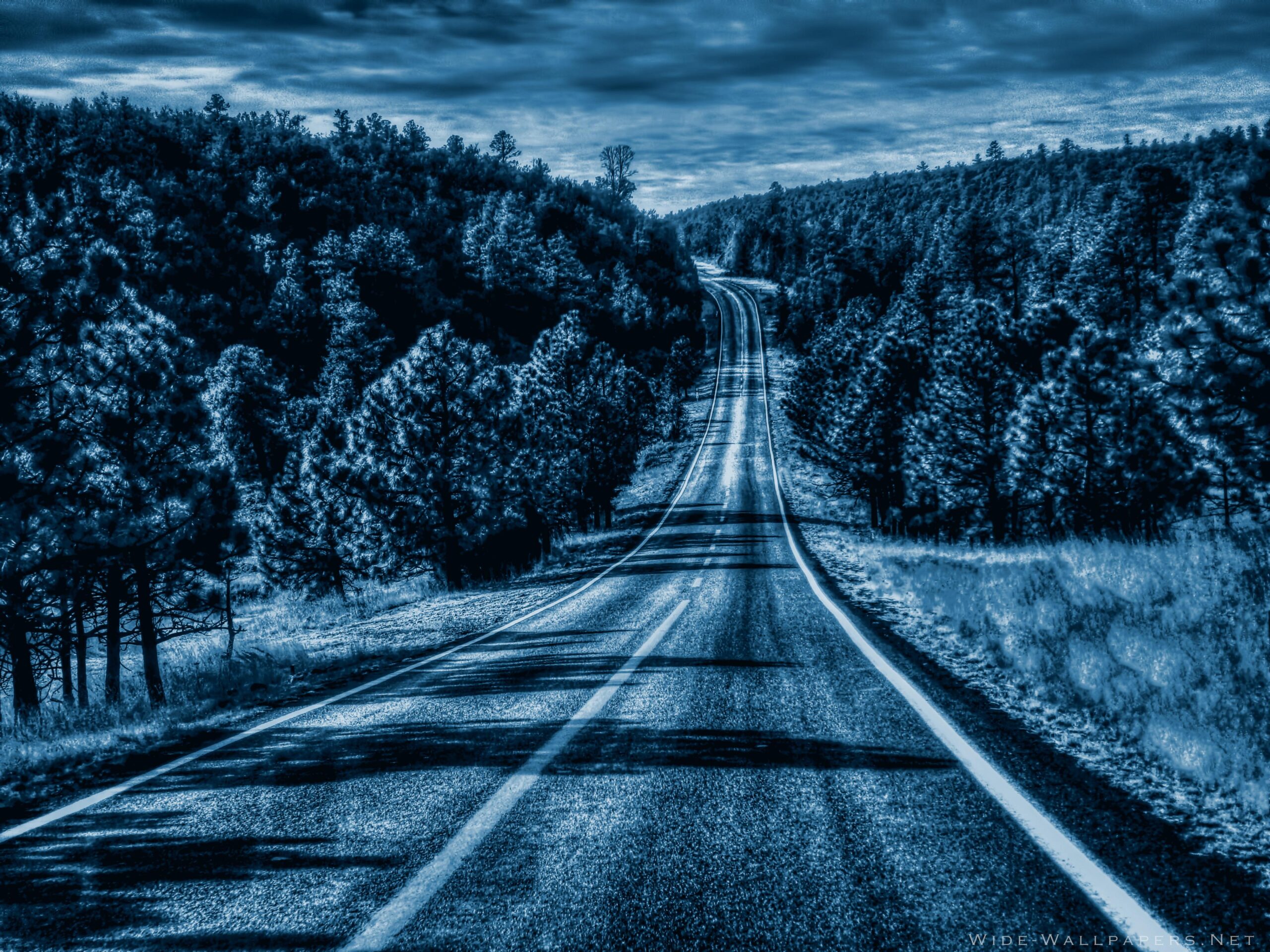 Road Illuminated by Full Moon widescreen wallpapers