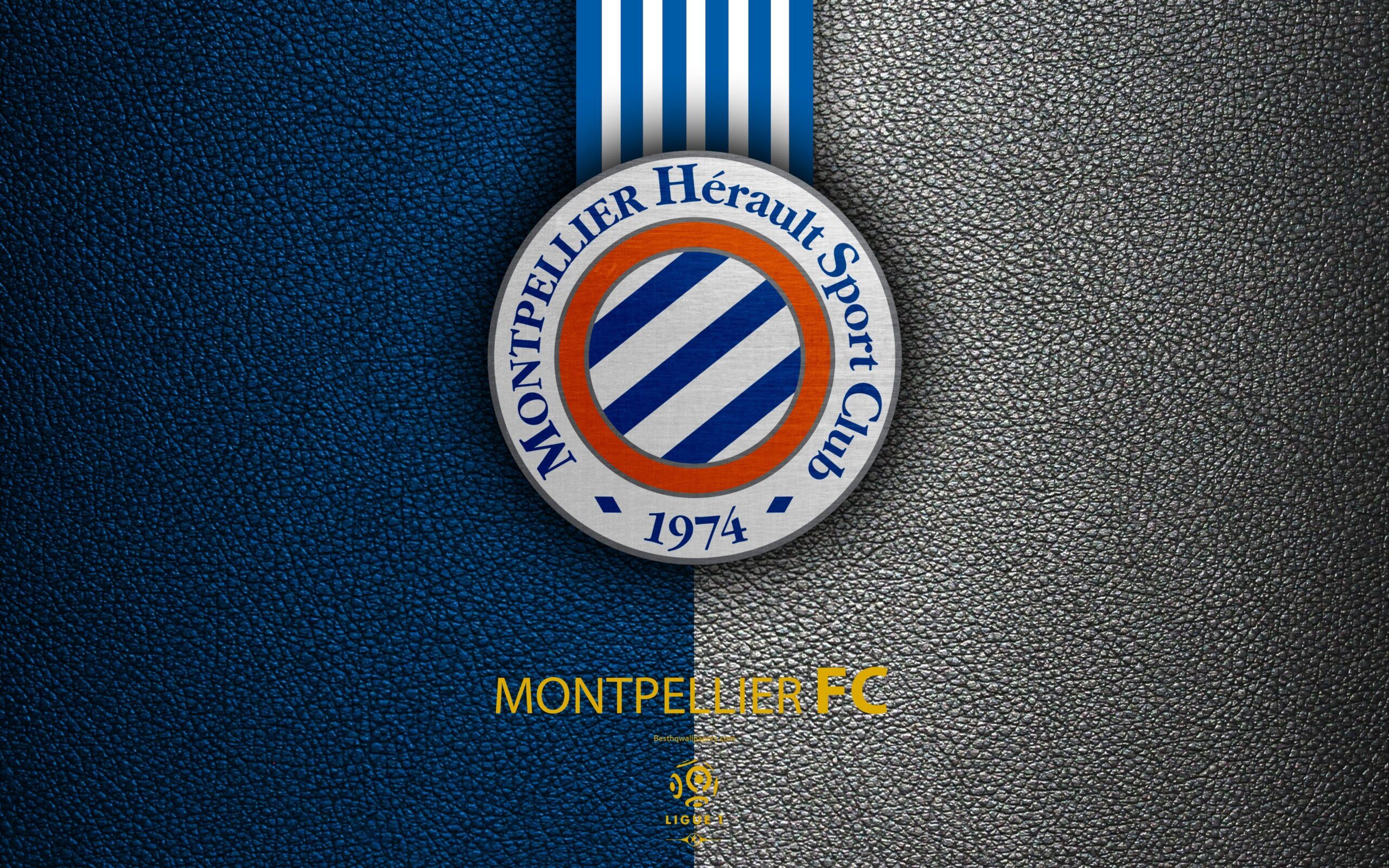 Download wallpapers Montpellier FC, FC, 4K, French football club