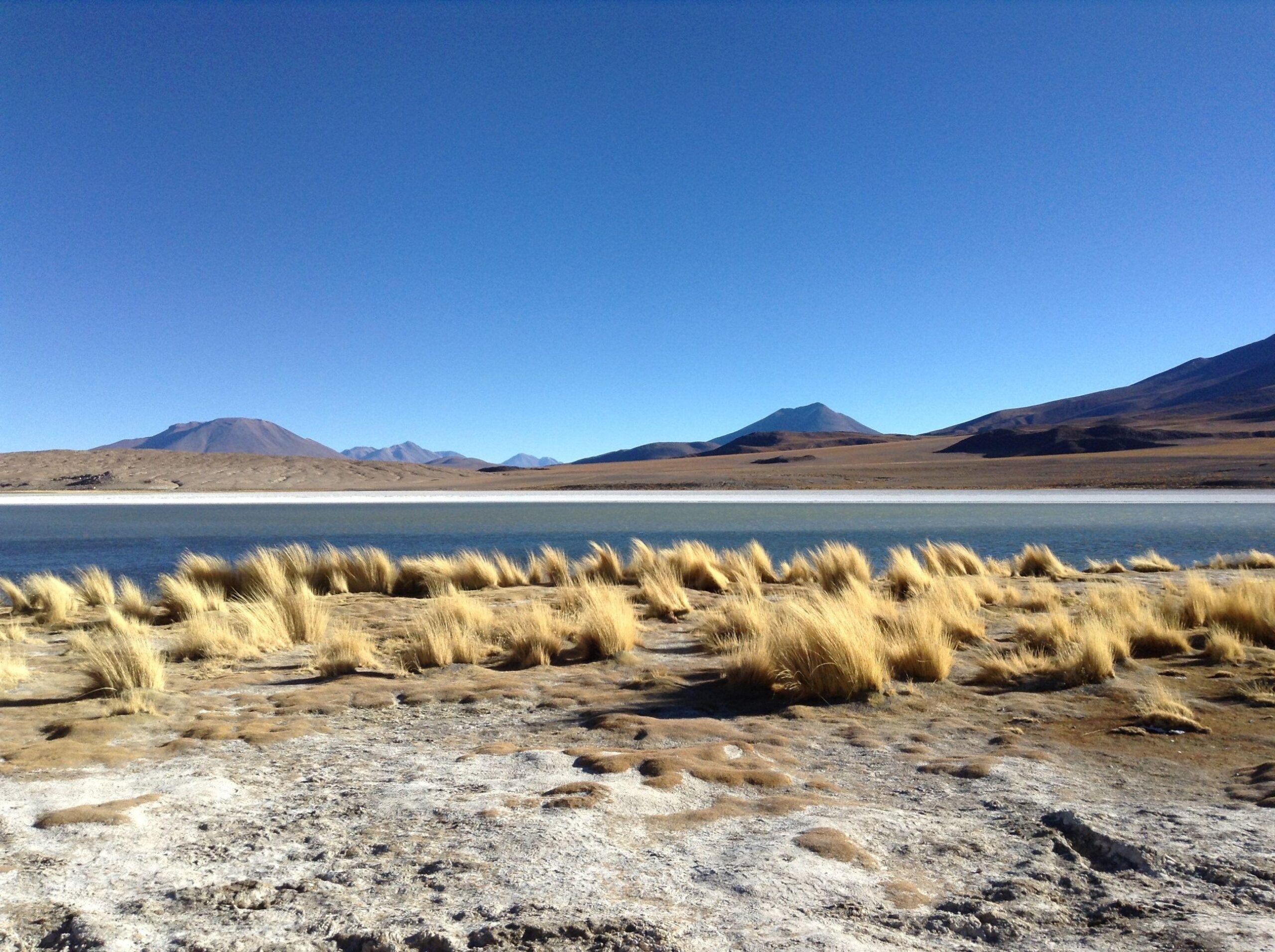 34 royalty free bolivia image