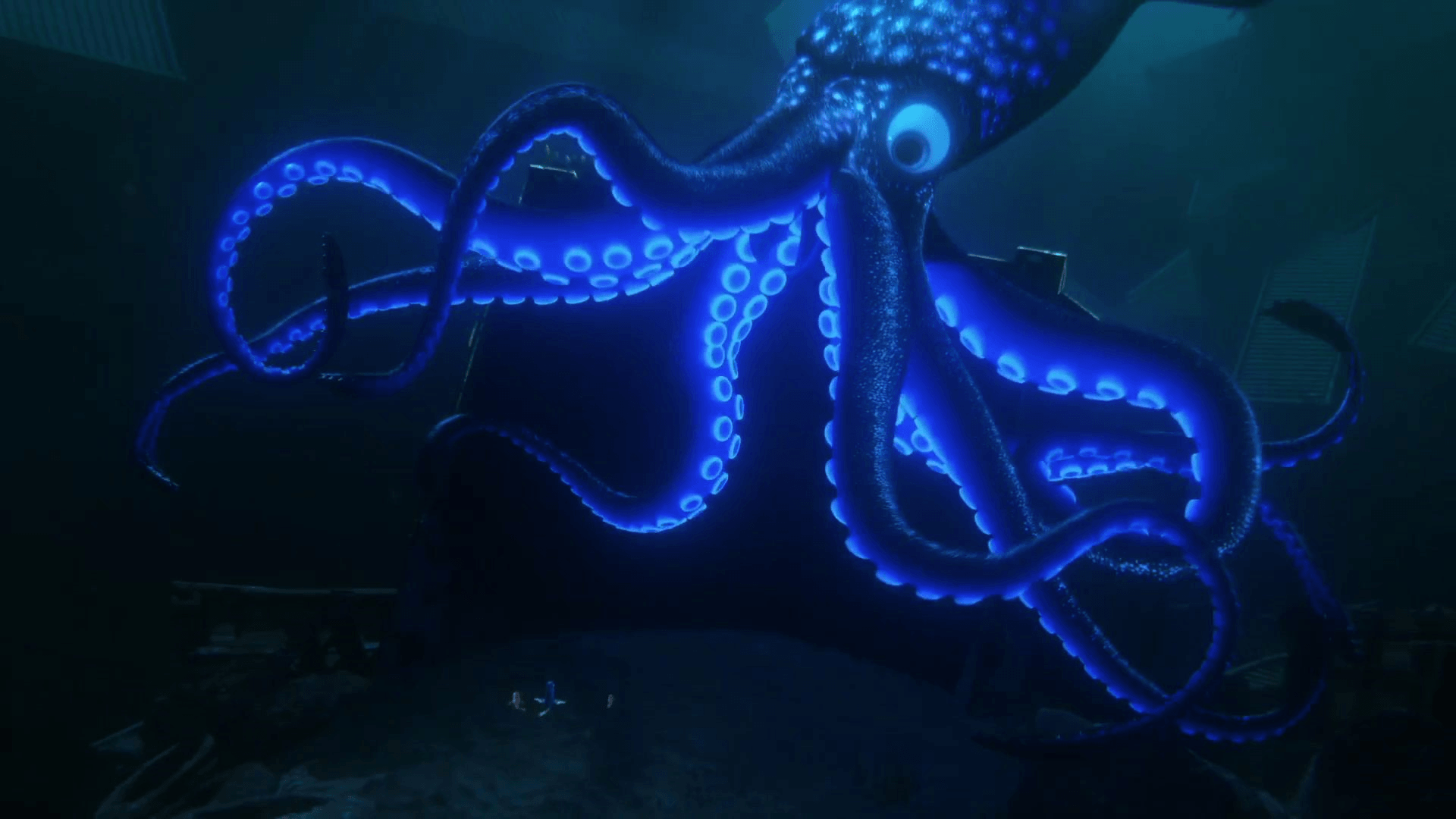 Giant Squid