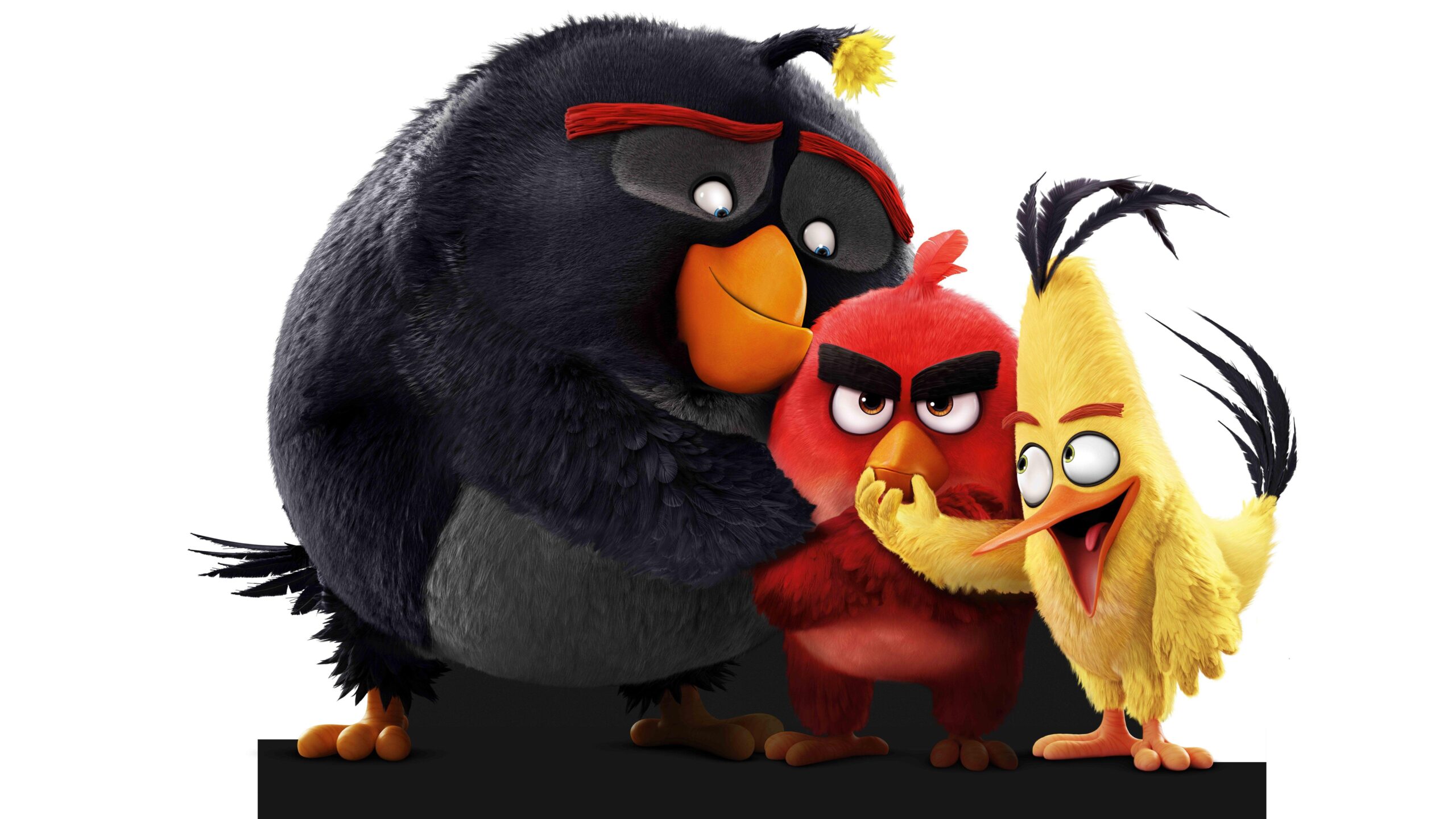 Download The Angry Birds 8k HD 4k Wallpapers In Screen