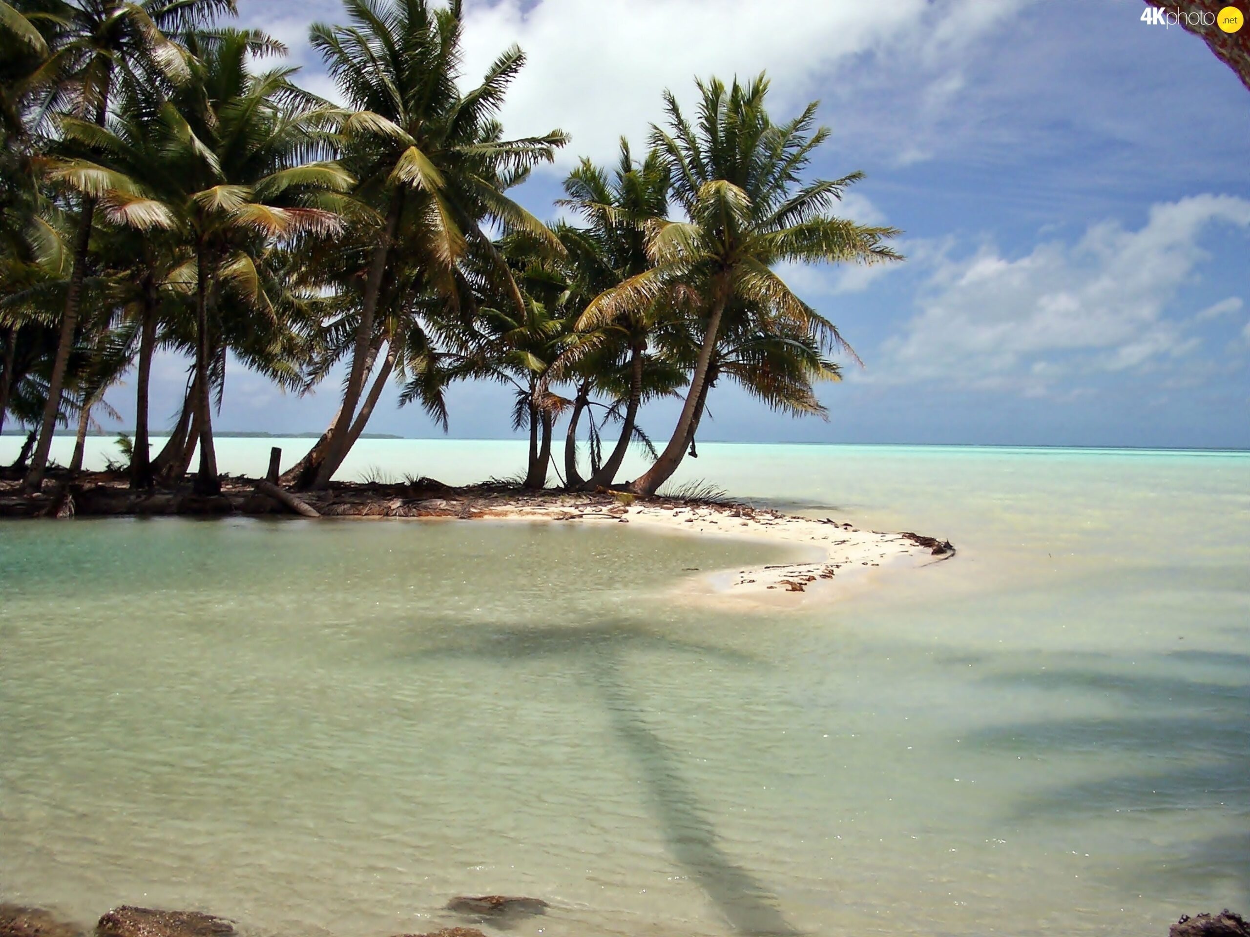 Laguna, Kiribati, sea, Palms